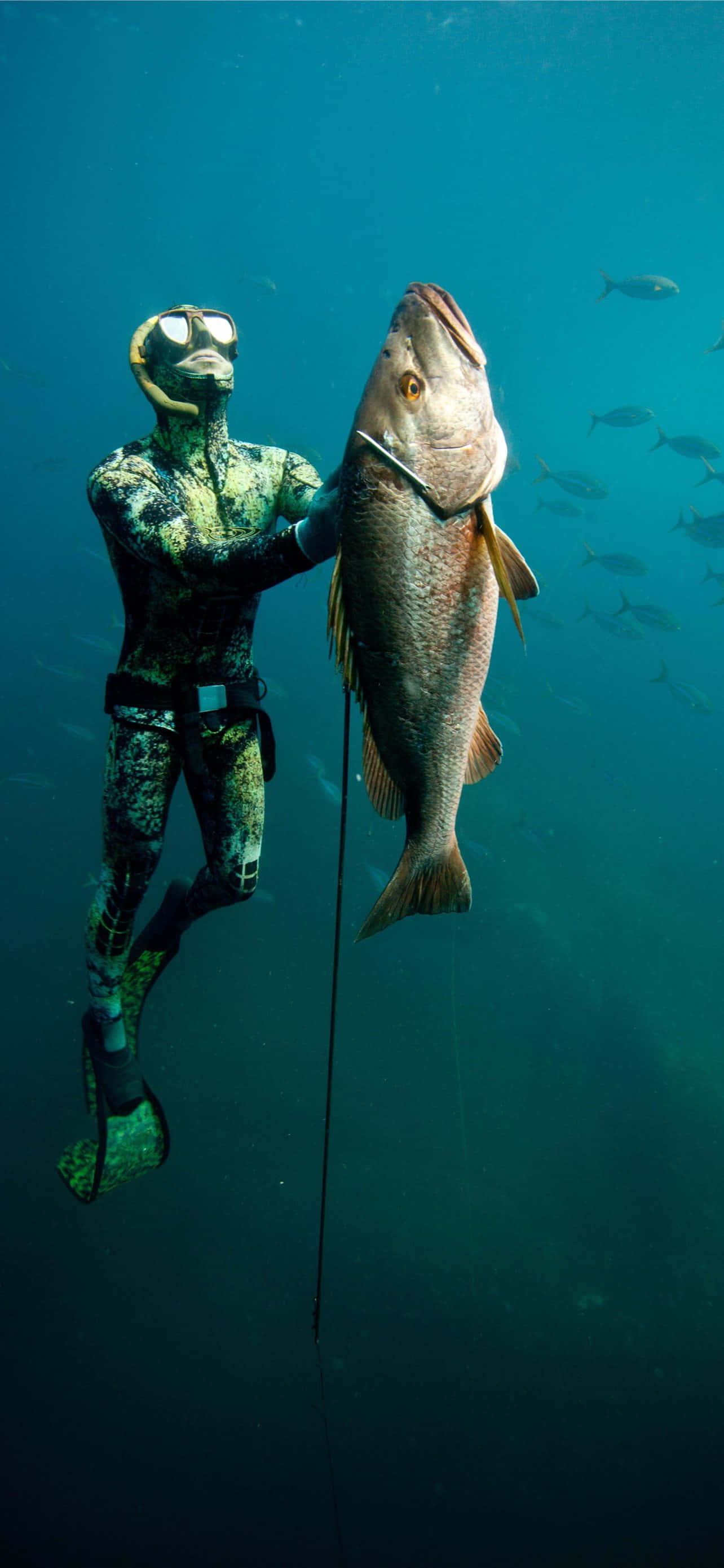 釣魚圖片 壁紙