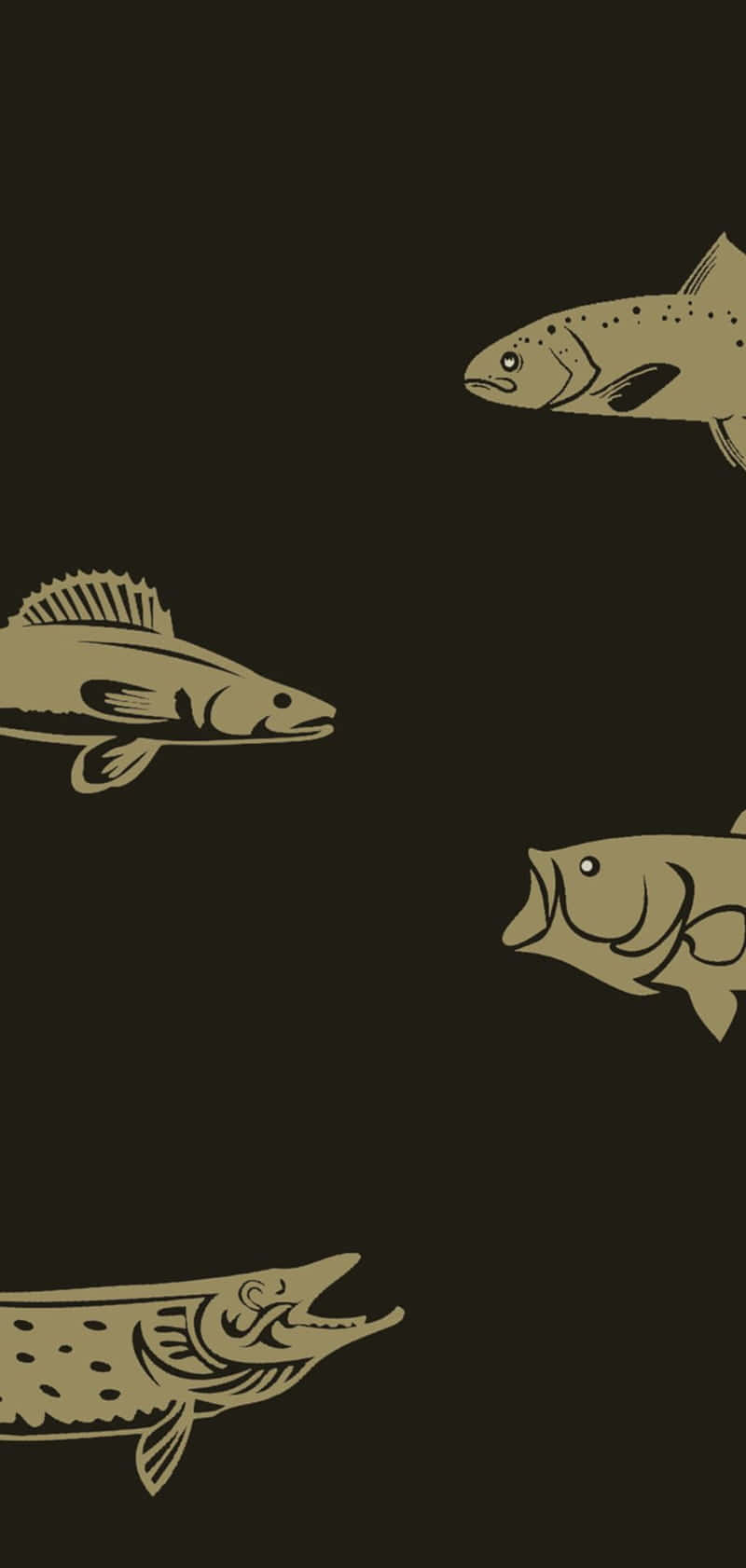 釣魚圖片 壁紙
