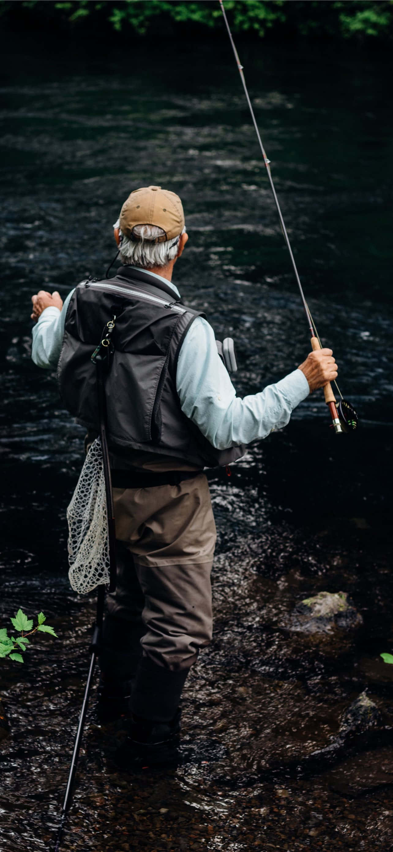 釣魚圖片 壁紙