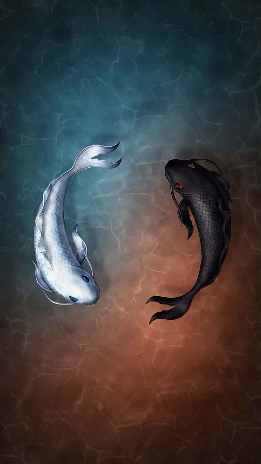 釣魚圖片 壁紙