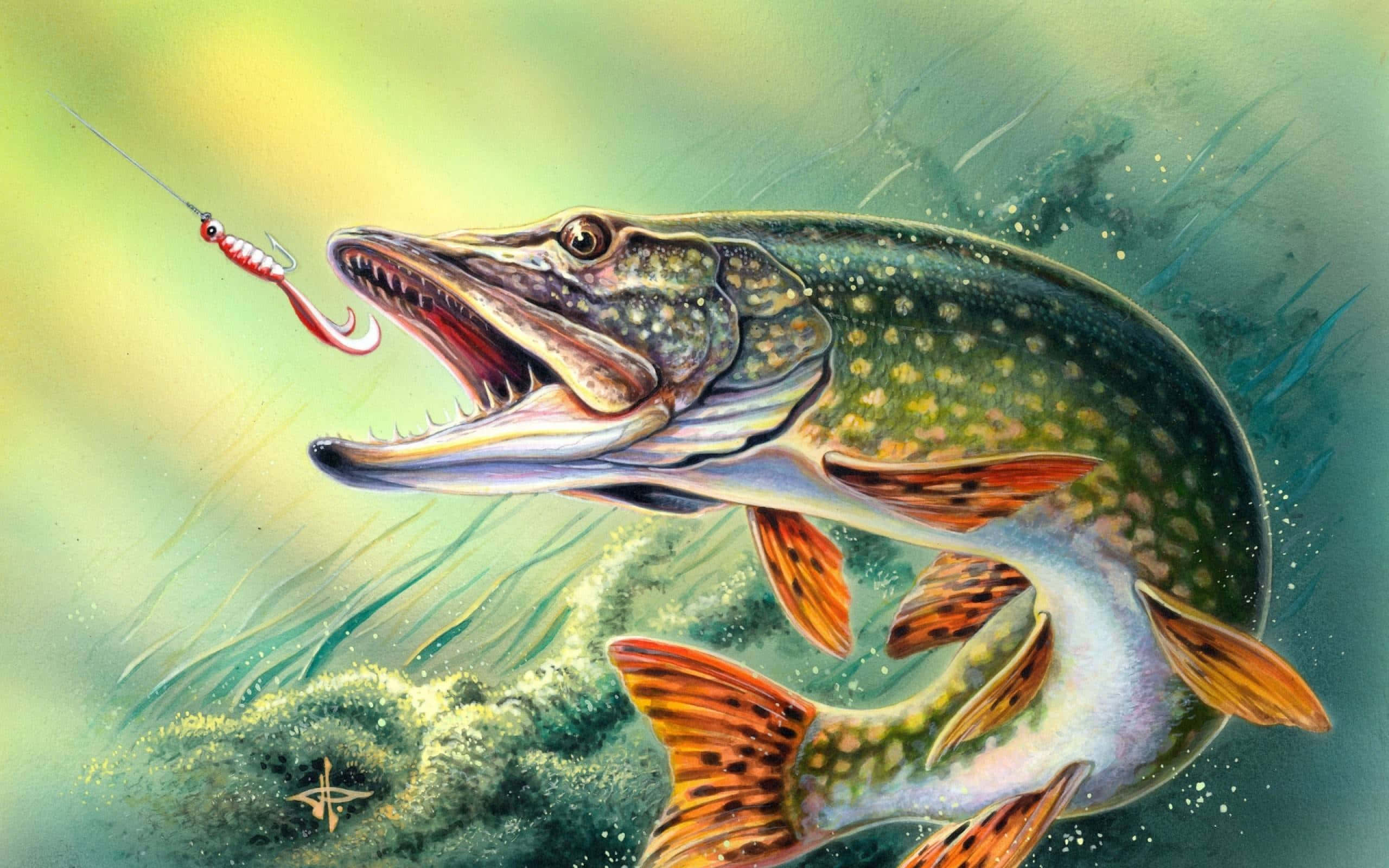 釣魚圖片 壁紙