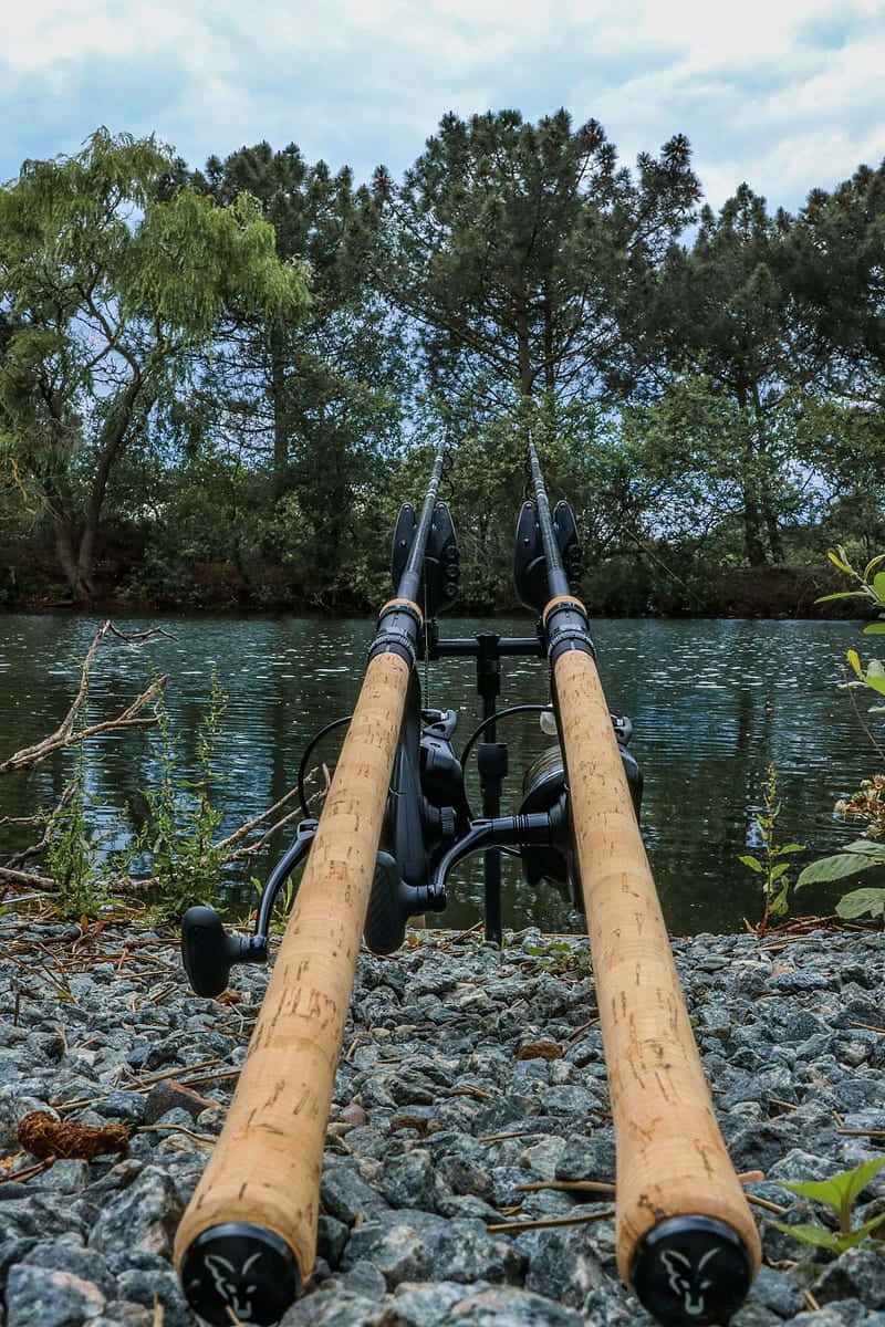 釣魚圖片 壁紙