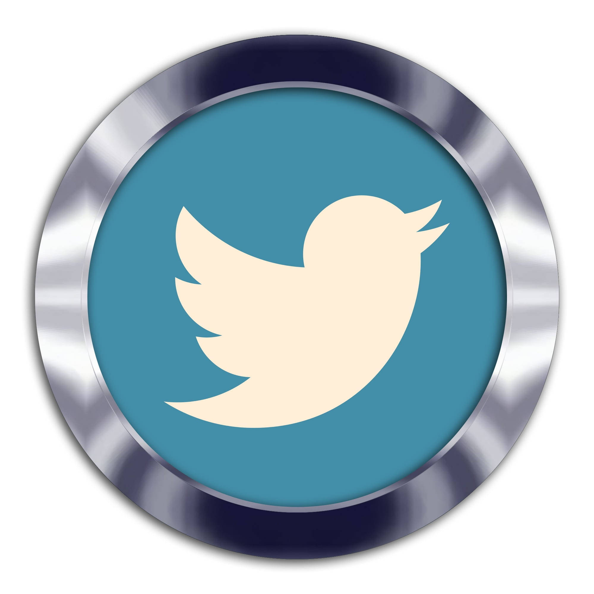 銀框 Twitter 標誌 壁紙 — 一個時尚的圓形按鈕，帶有金屬邊框和藍色中心，上面有奶油色的Twitter鳥標誌。