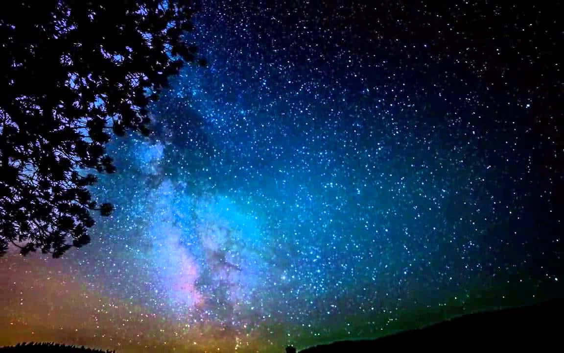 夜晚，銀河系在黑暗森林上方閃耀。