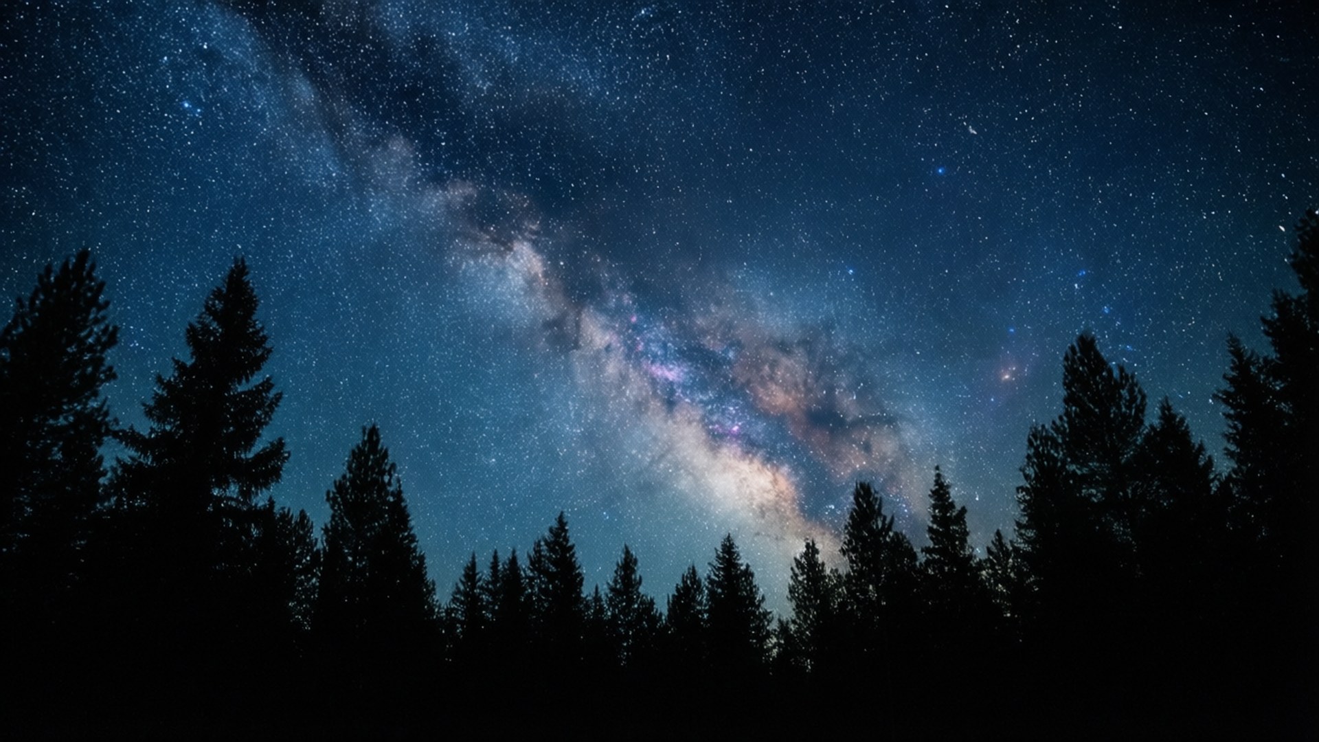 銀河系在夜晚的黑暗松林上空拱起。