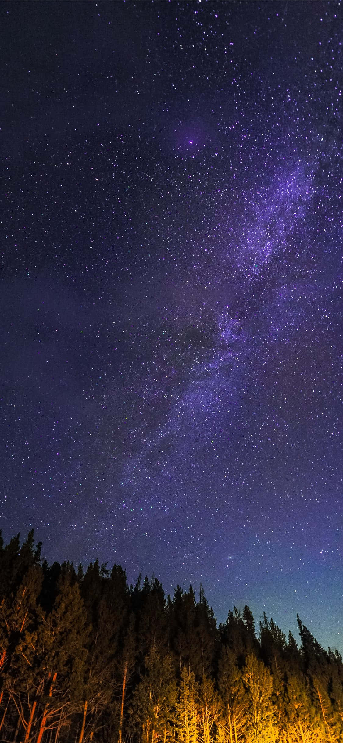 銀河橫跨森林夜空 壁紙 — 令人嘆為觀止的夜空，佈滿星星，充滿活力的紫色銀河在黑暗森林的剪影上方拱起，底部有發光的金色樹木。