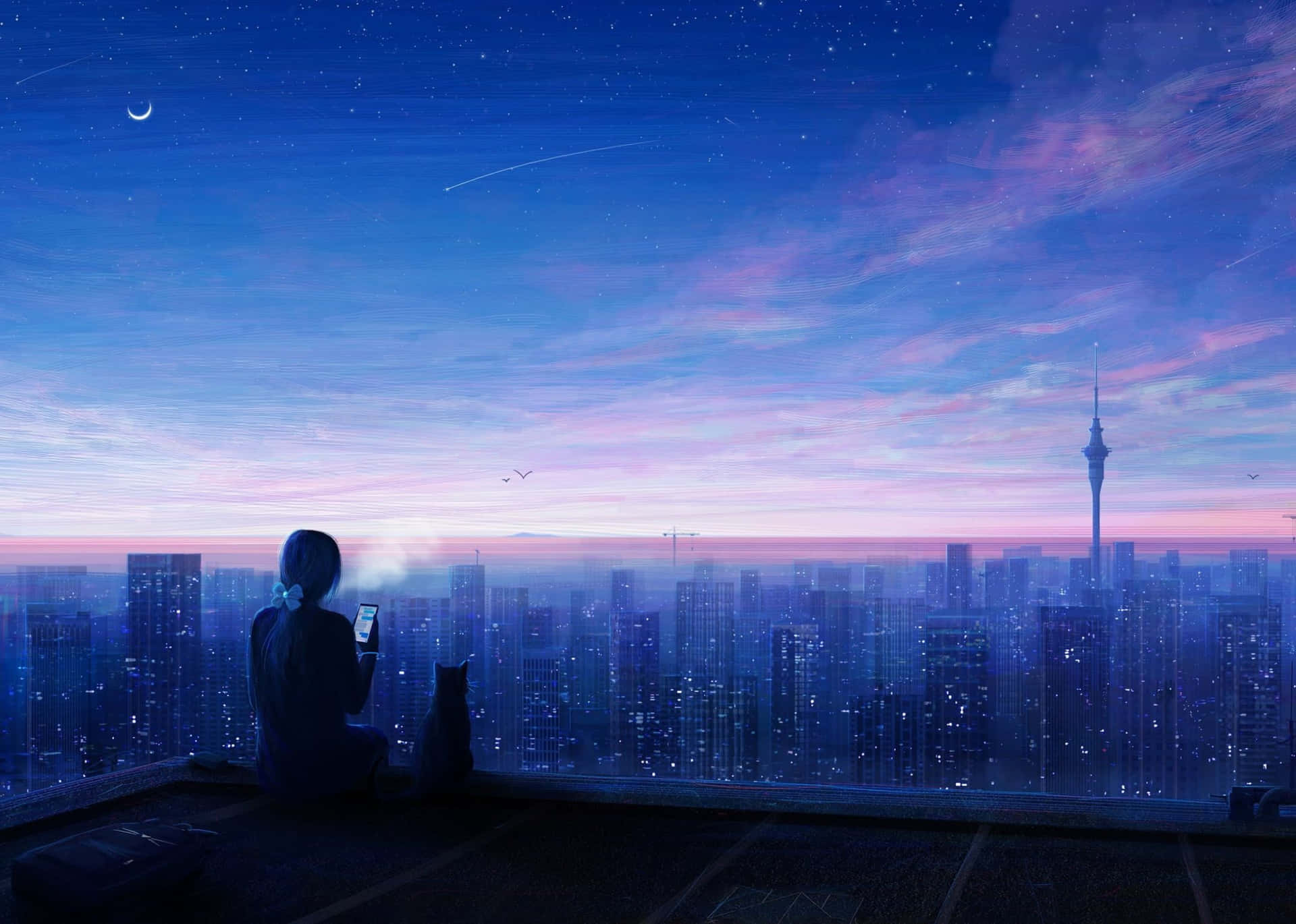 星空下，黃昏時在屋頂上與貓一起觀看城市天際線的人。