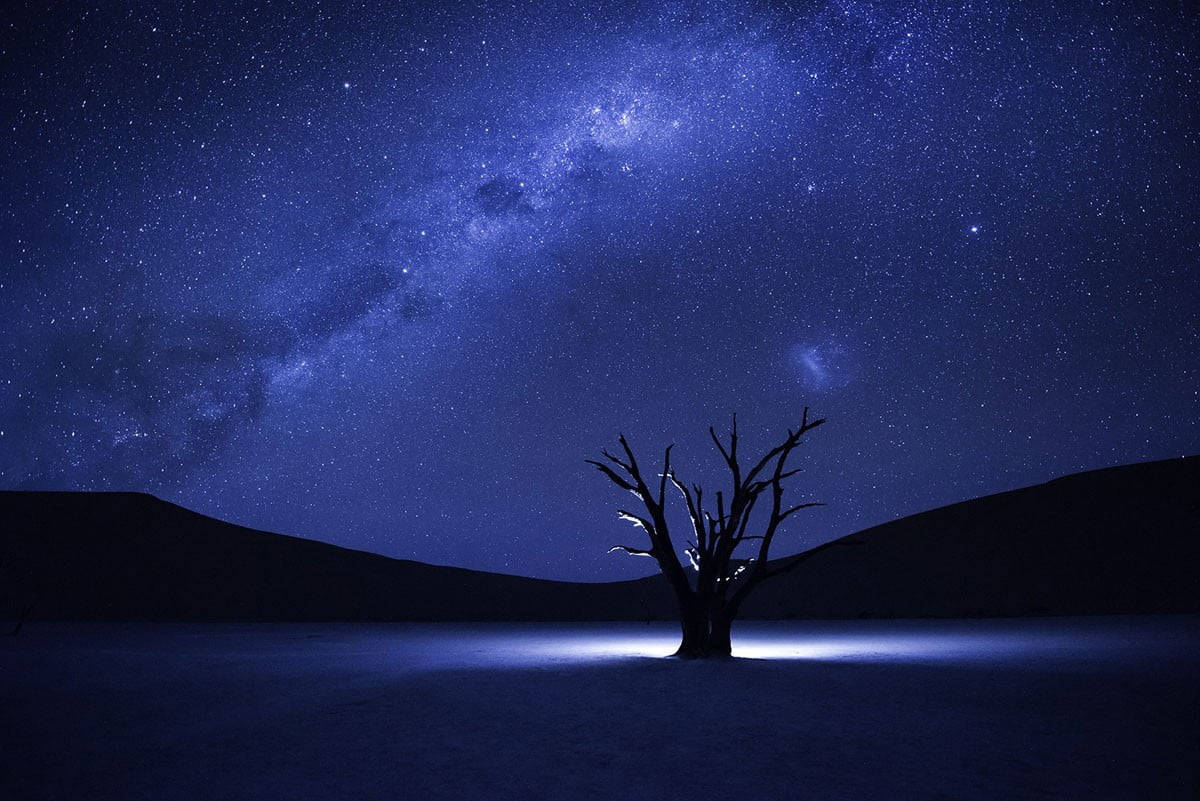 一棵孤獨的枯樹在星空夜空下，銀河可見。