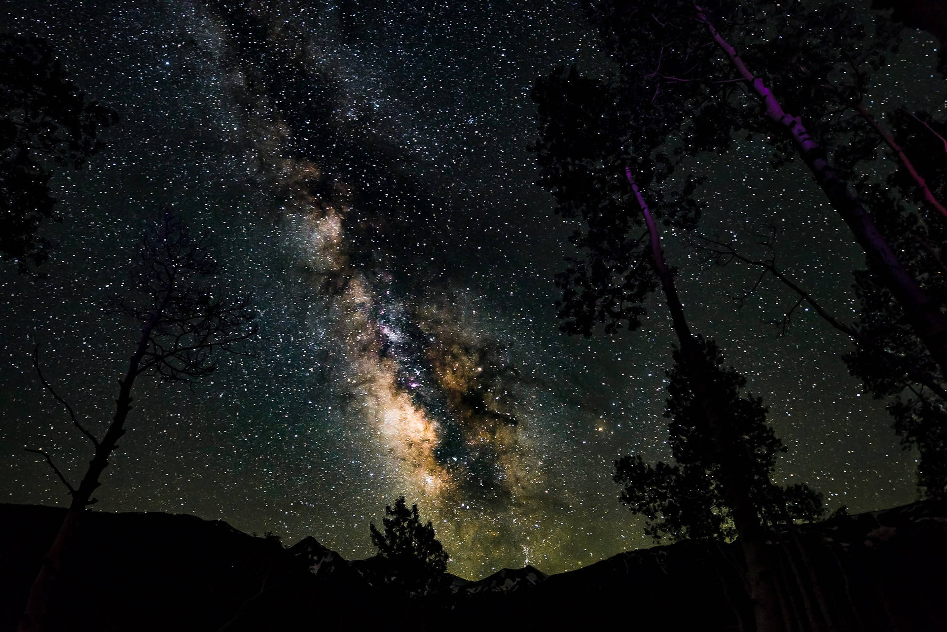 銀河系在夜晚的樹木和山脈剪影上方發光。