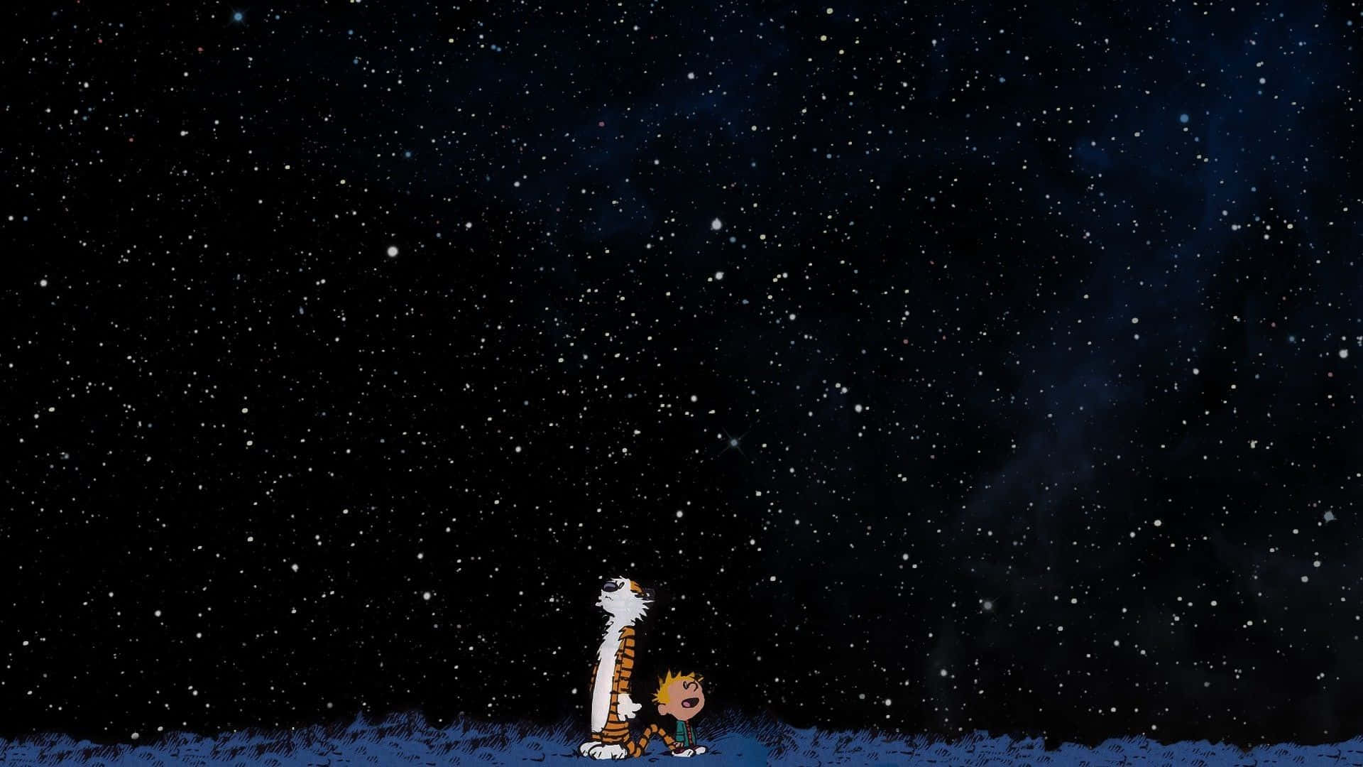 卡爾文和霍布斯在漆黑的夜晚仰望星星。