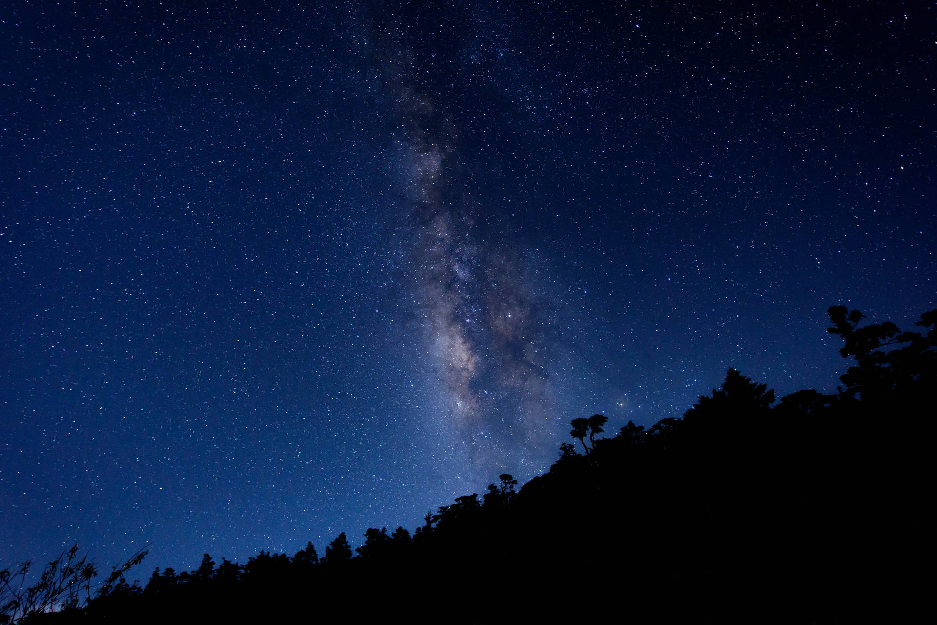 銀河系在繁星點點的夜空下，在黑暗的森林剪影上方發光。