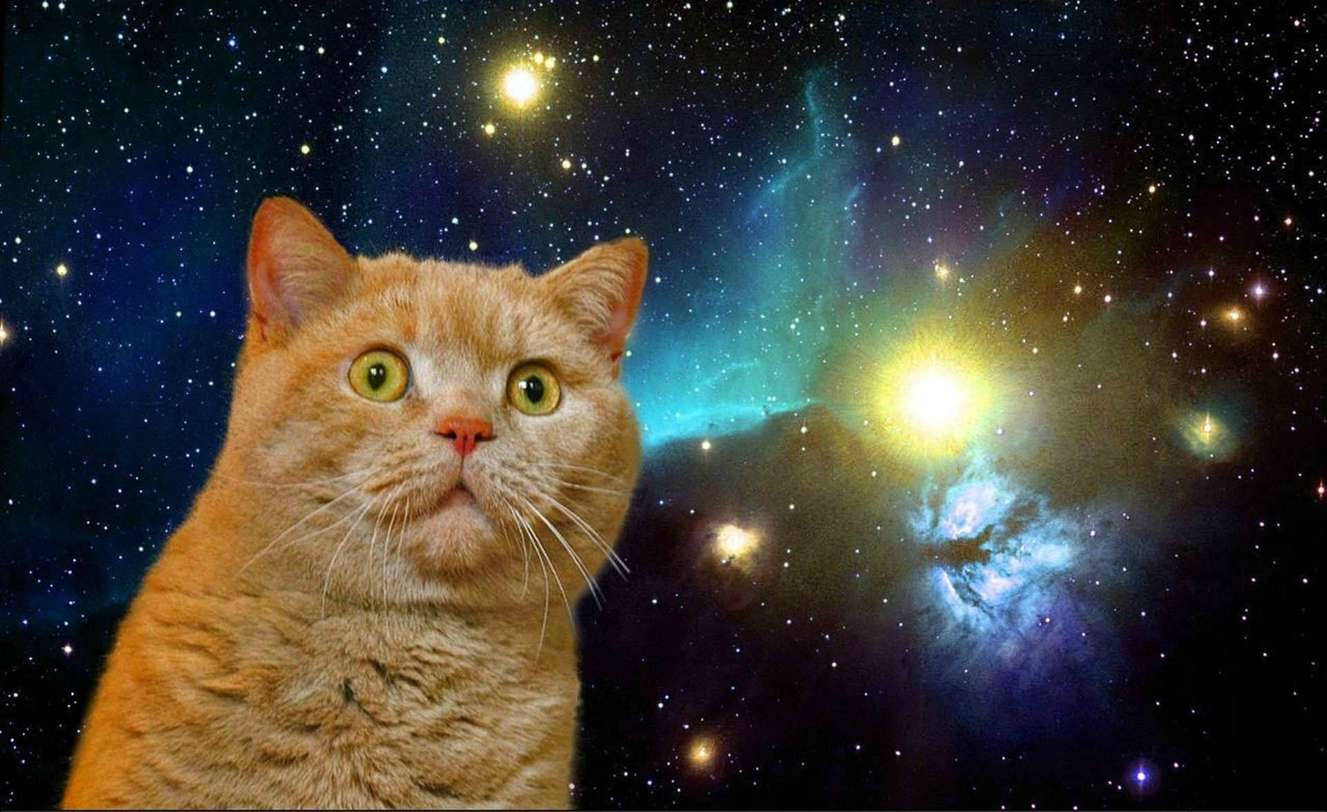 橙色貓咪，綠色眼睛，背景是星空宇宙星雲。
