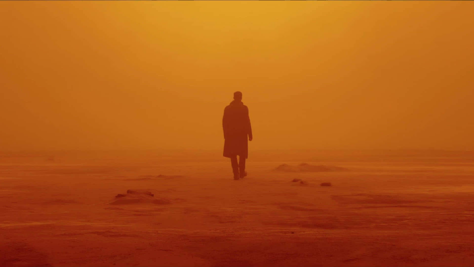 銀翼殺手2049背景