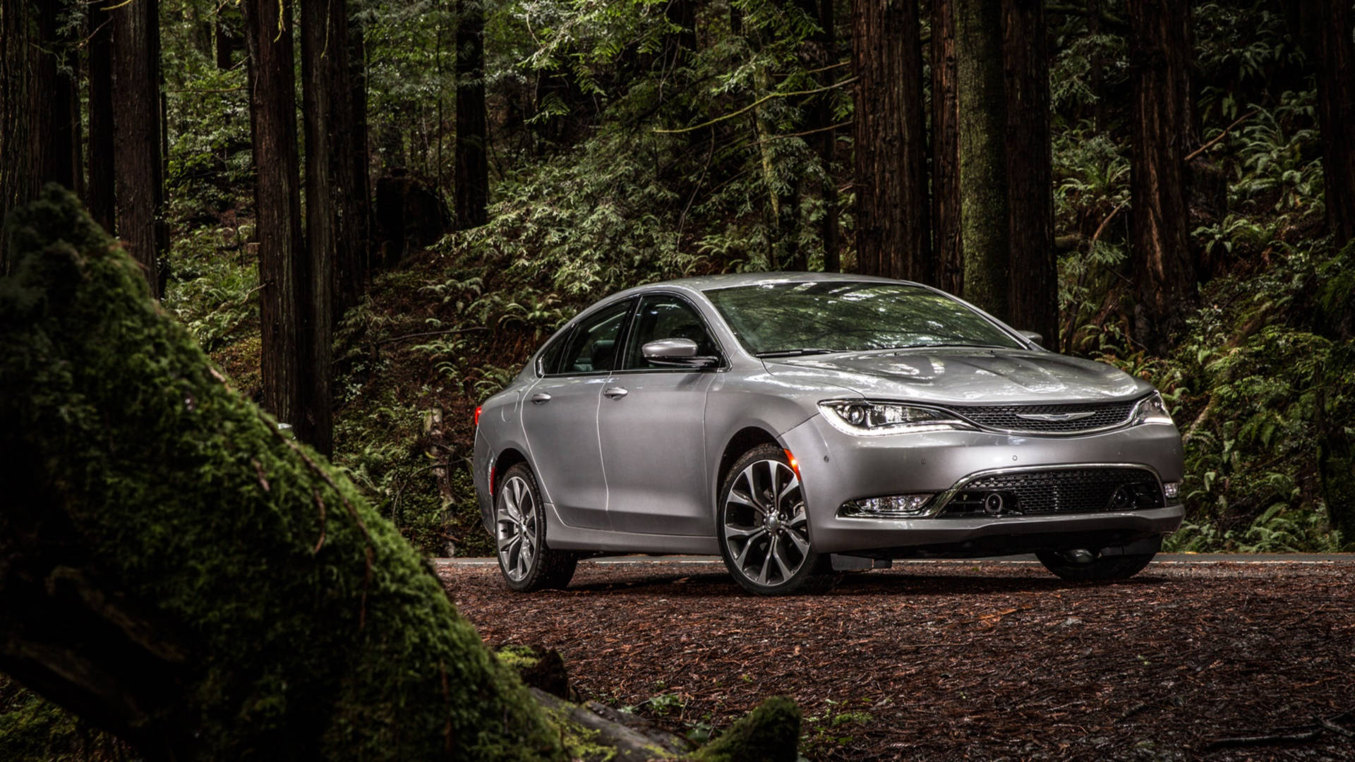 銀色 Chrysler 車款 壁紙 — 一架時尚的銀色轎車停泊在森林小徑上，周圍是高聳的苔蘚樹木和斑駁的陽光。