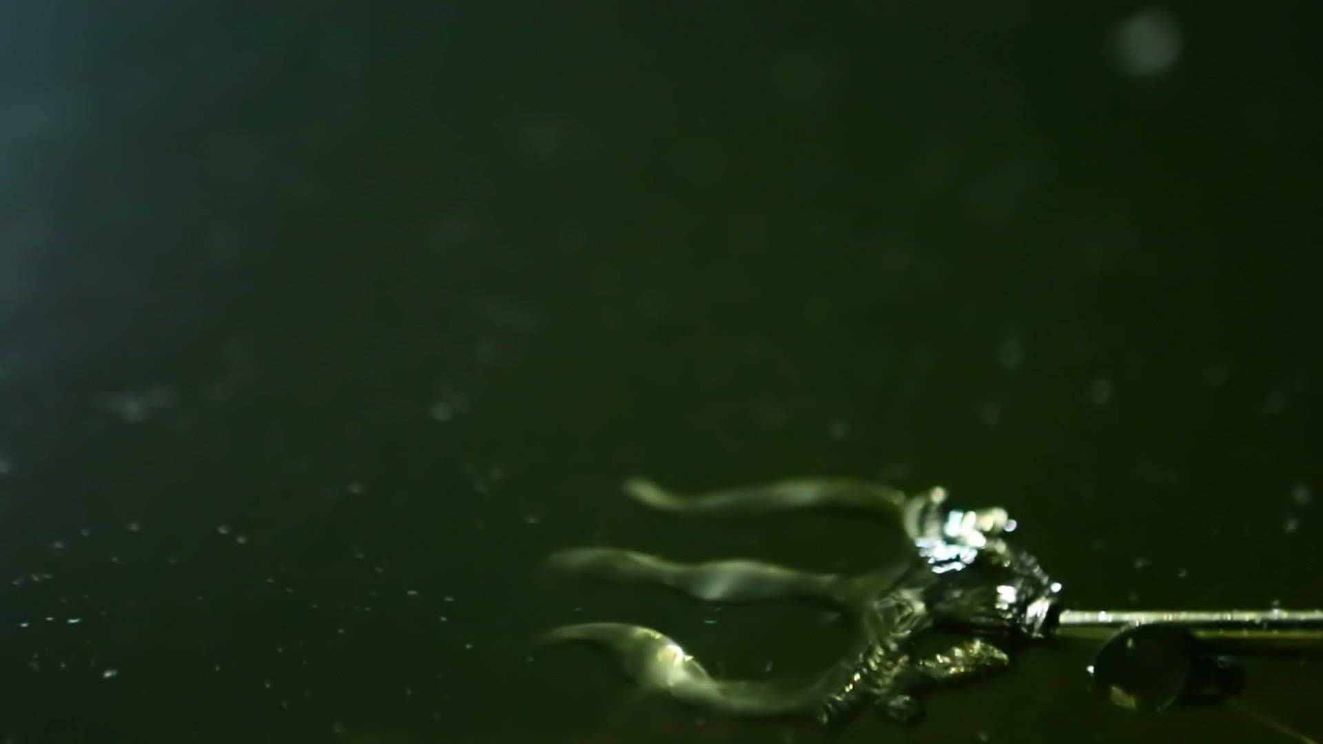 三叉戟浸沒在深綠色水中，帶有漂浮顆粒。