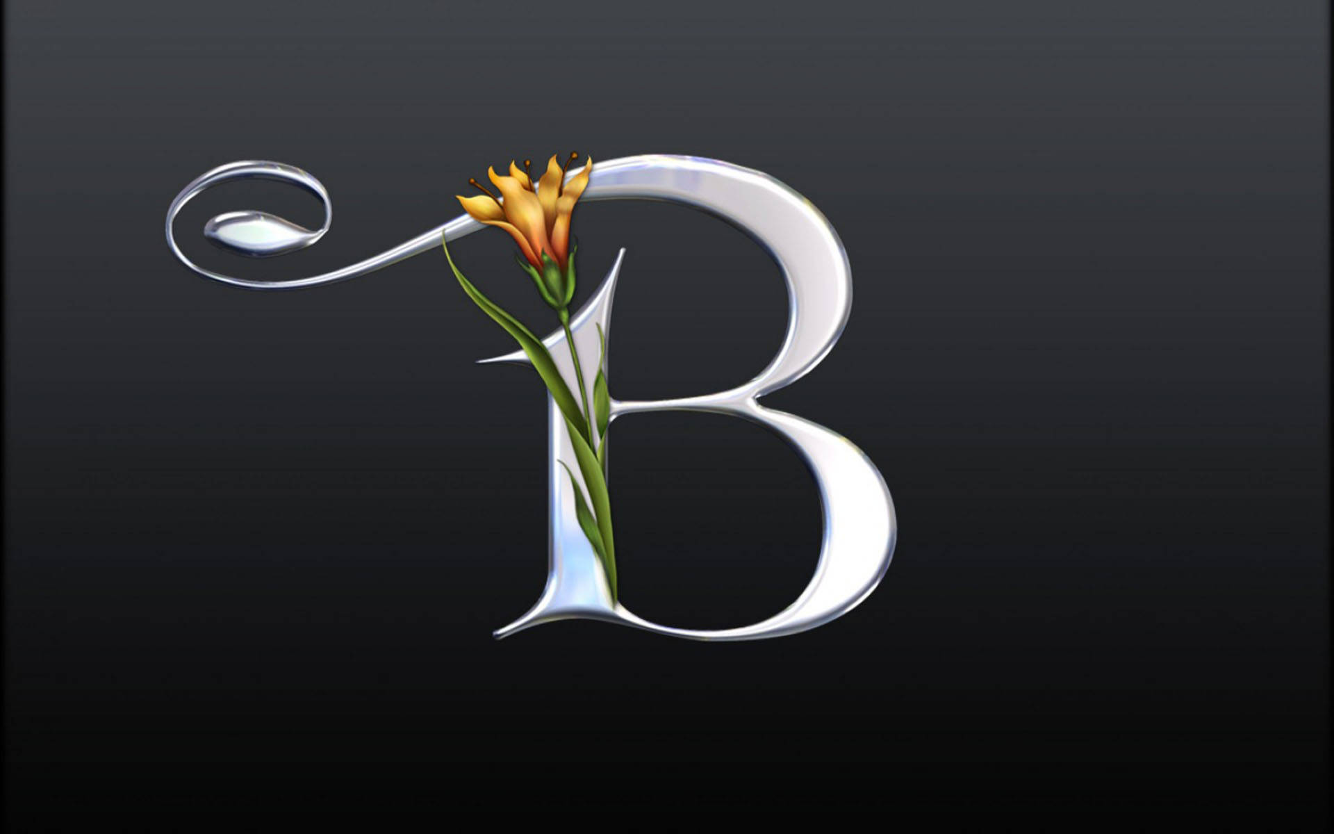 銀色鍍層字母B 壁紙 — 一個時尚的銀色字母B，其曲線處綻放出一朵鮮豔的橙色百合，背景為深色漸變。