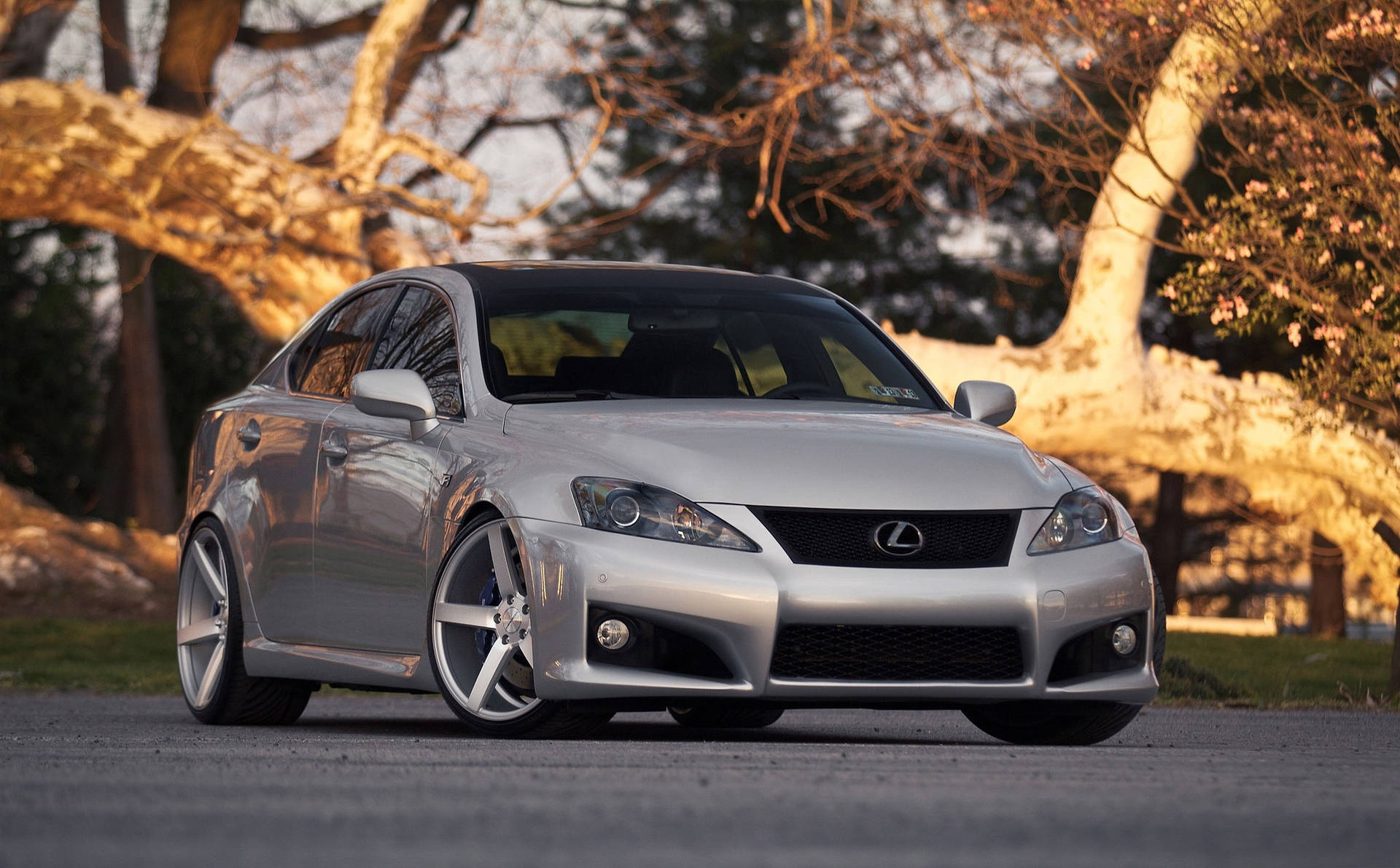 銀色Lexus轎車在黃金時刻停放在樹下。