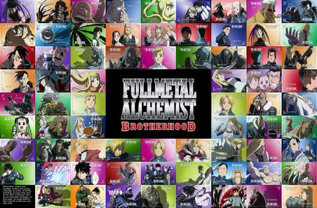 《鋼之鍊金術師 BROTHERHOOD》動畫角色肖像拼貼。
