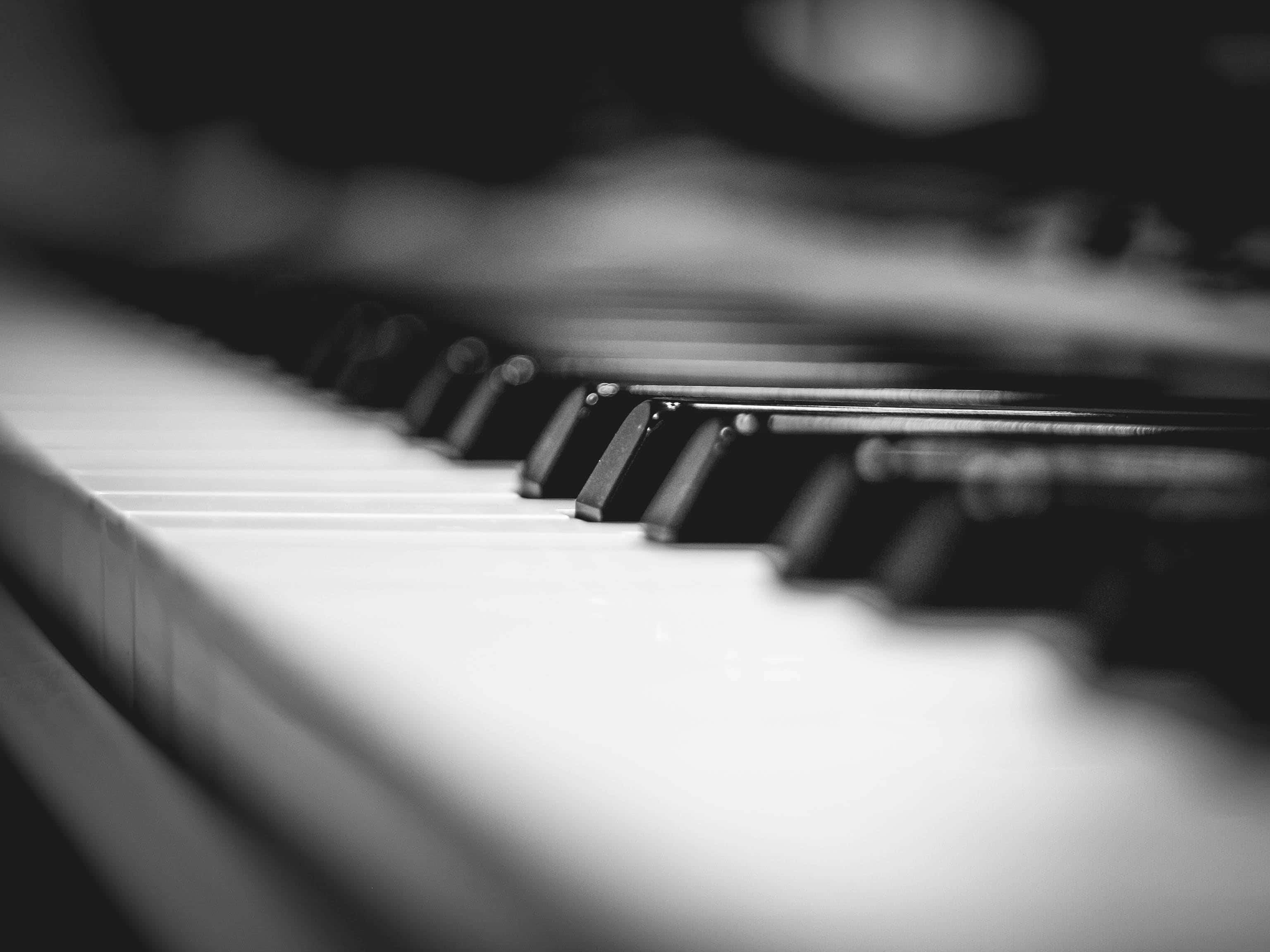 Black And White Piano 桌布 壁紙 — 鋼琴鍵盤的黑白特寫，景深較淺，背景柔和對焦。