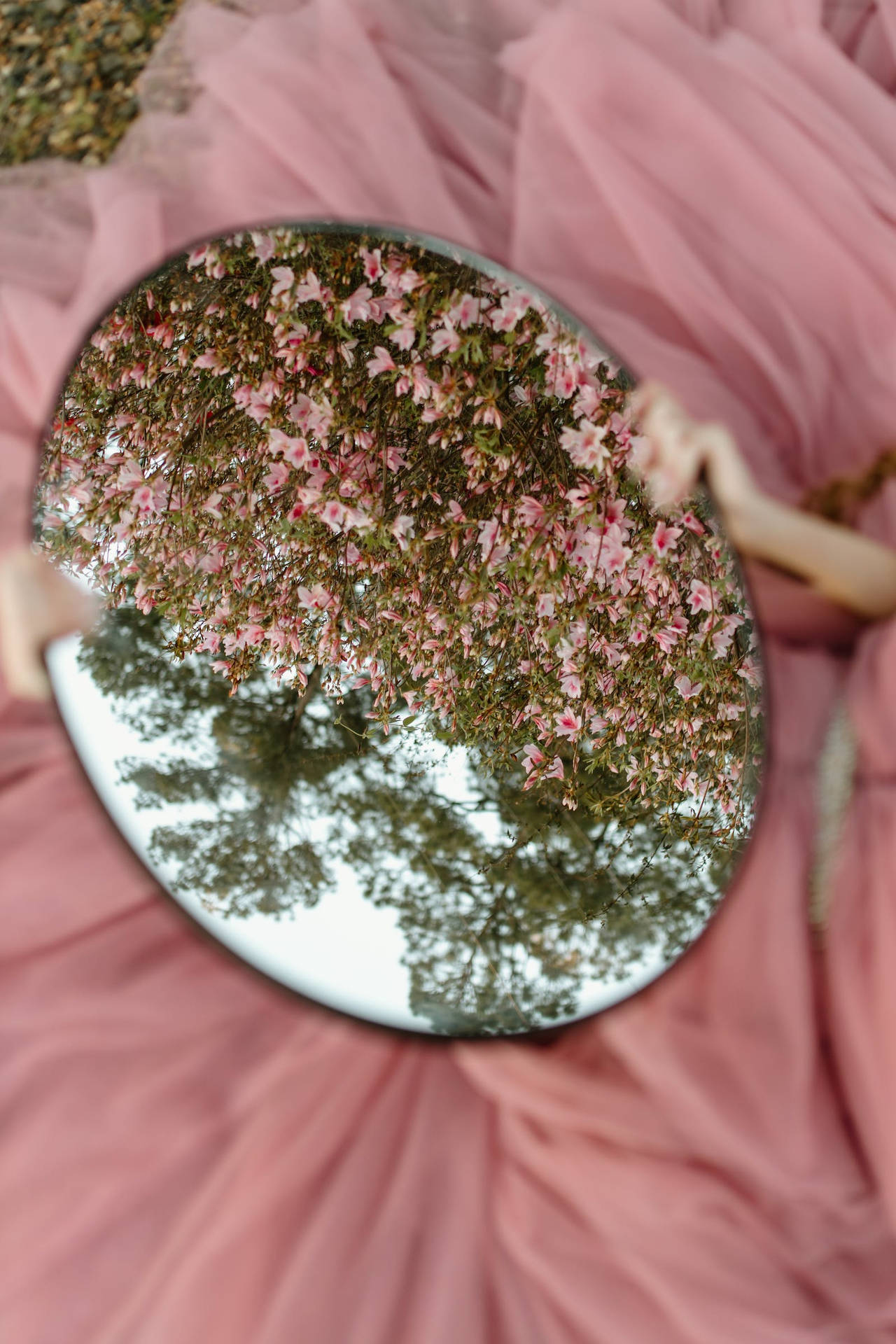 鏡子映照出櫻花和樹木，背景為粉紅布料。