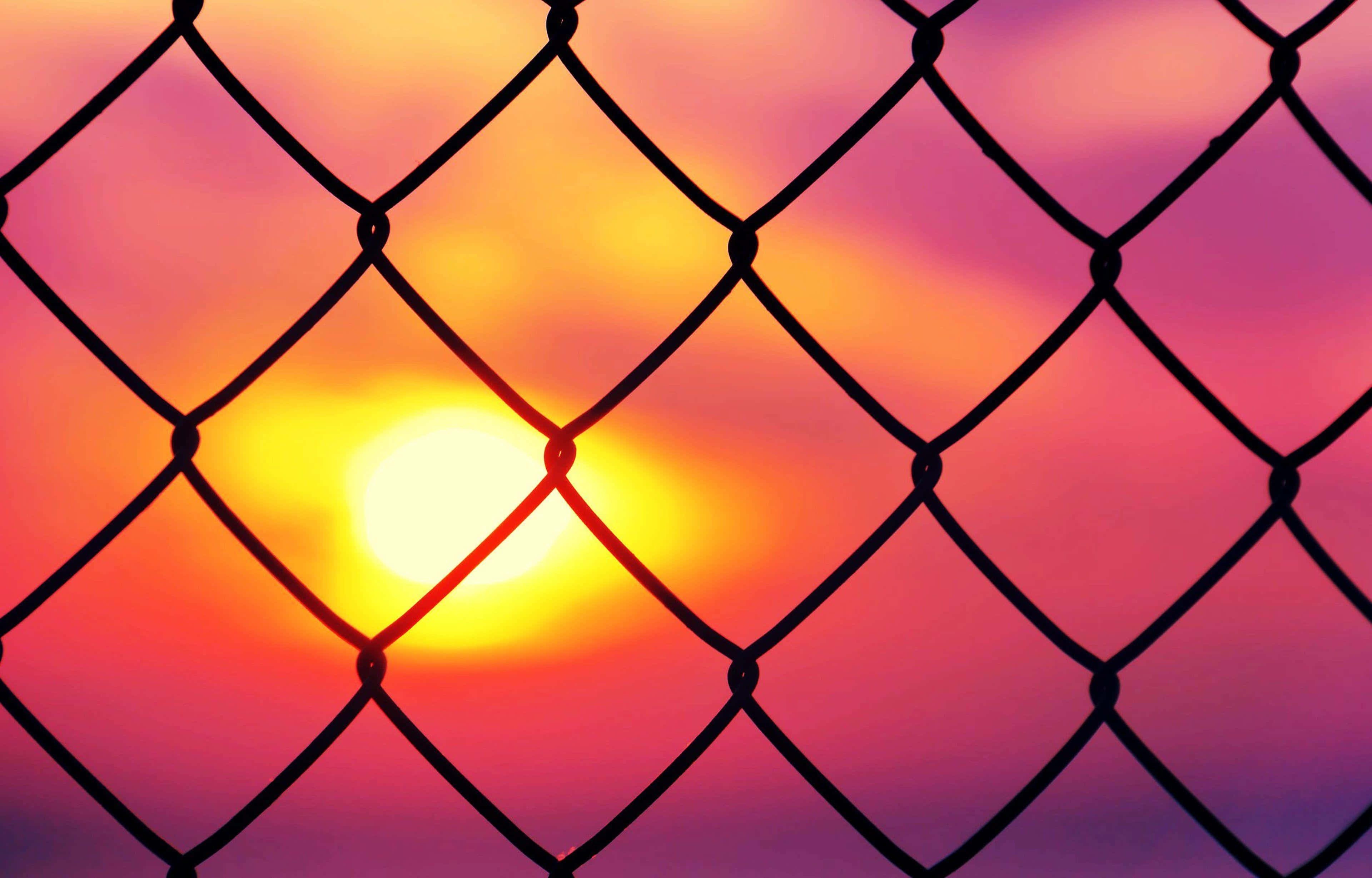 Prison 桌布 壁紙 — 鐵絲網圍欄在充滿活力的日落（橙色、黃色和粉紅色調）襯托下形成剪影。