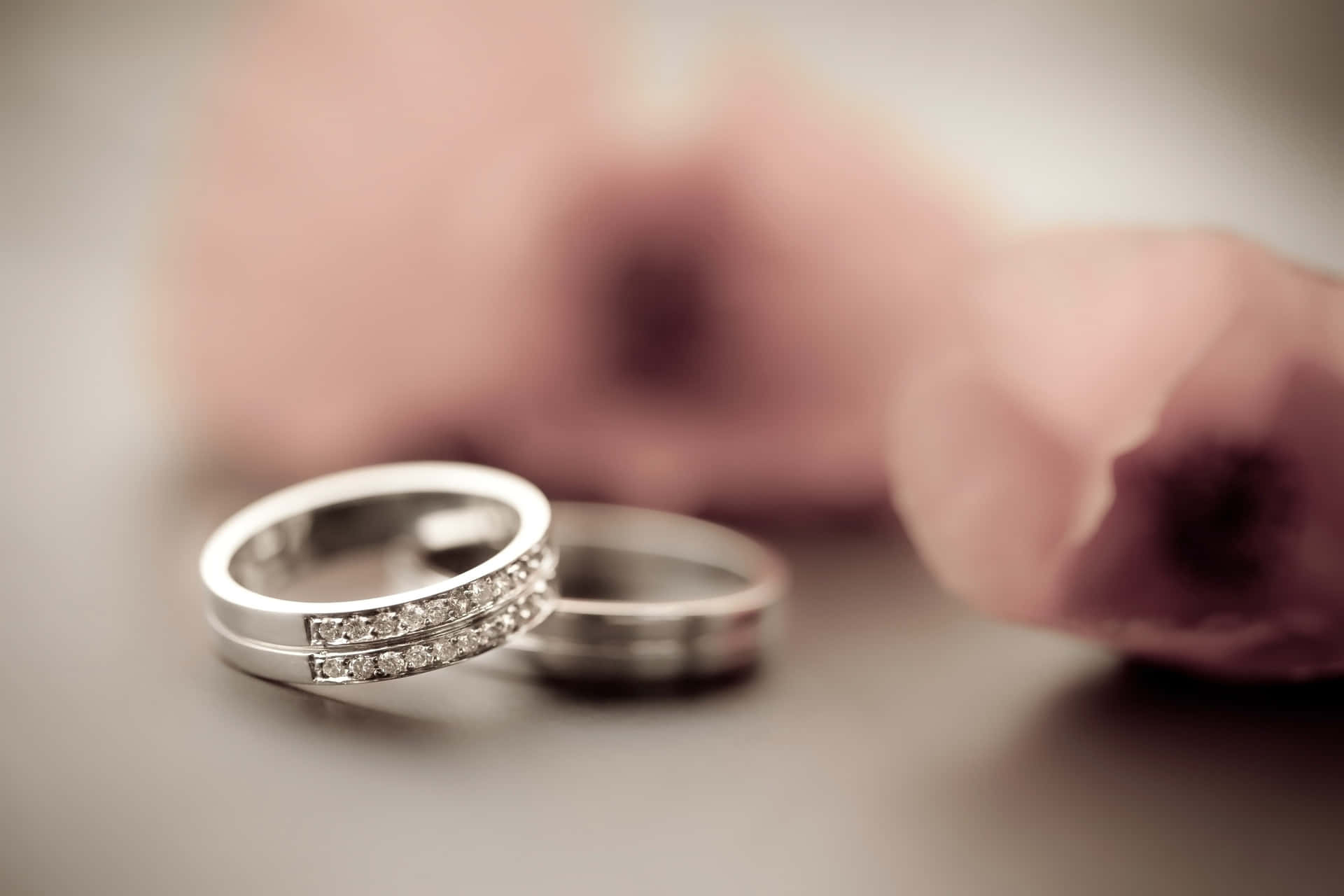 兩枚銀色結婚戒指帶有鑽石，旁邊是一朵粉紅玫瑰。