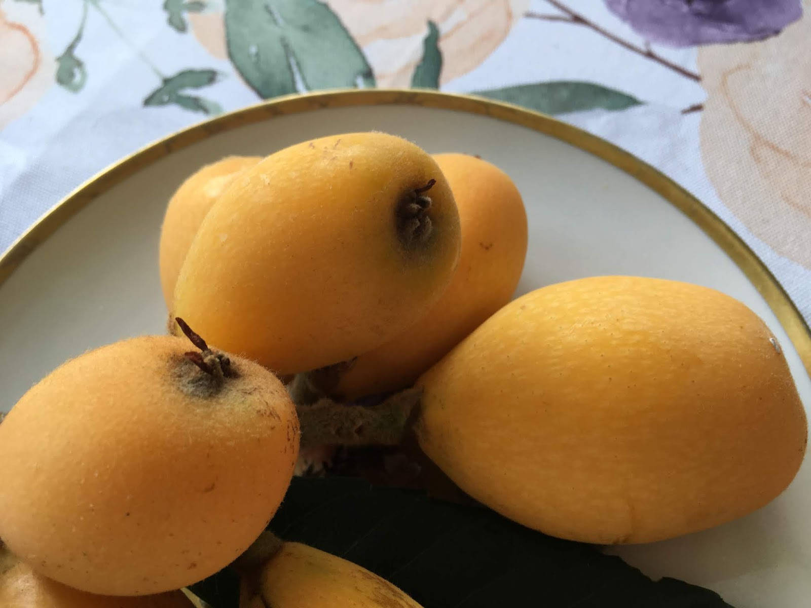 長橢圓形的枇杷 壁紙 — 成熟的金色枇杷放在花紋枱布上的白邊金邊碟中。