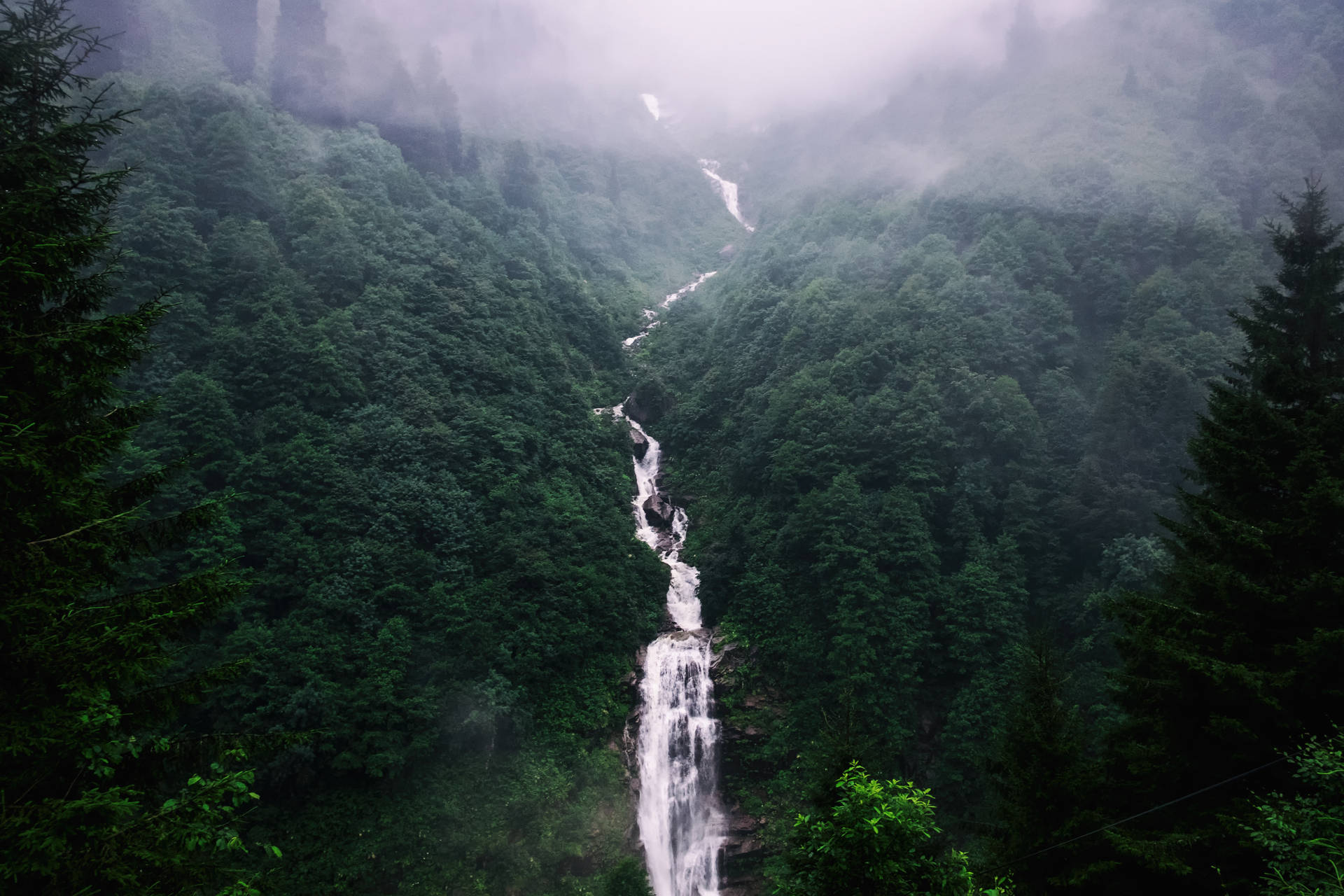 一道霧氣瀰漫的瀑布流經茂密的綠色森林山谷。 — 瀑布 壁紙