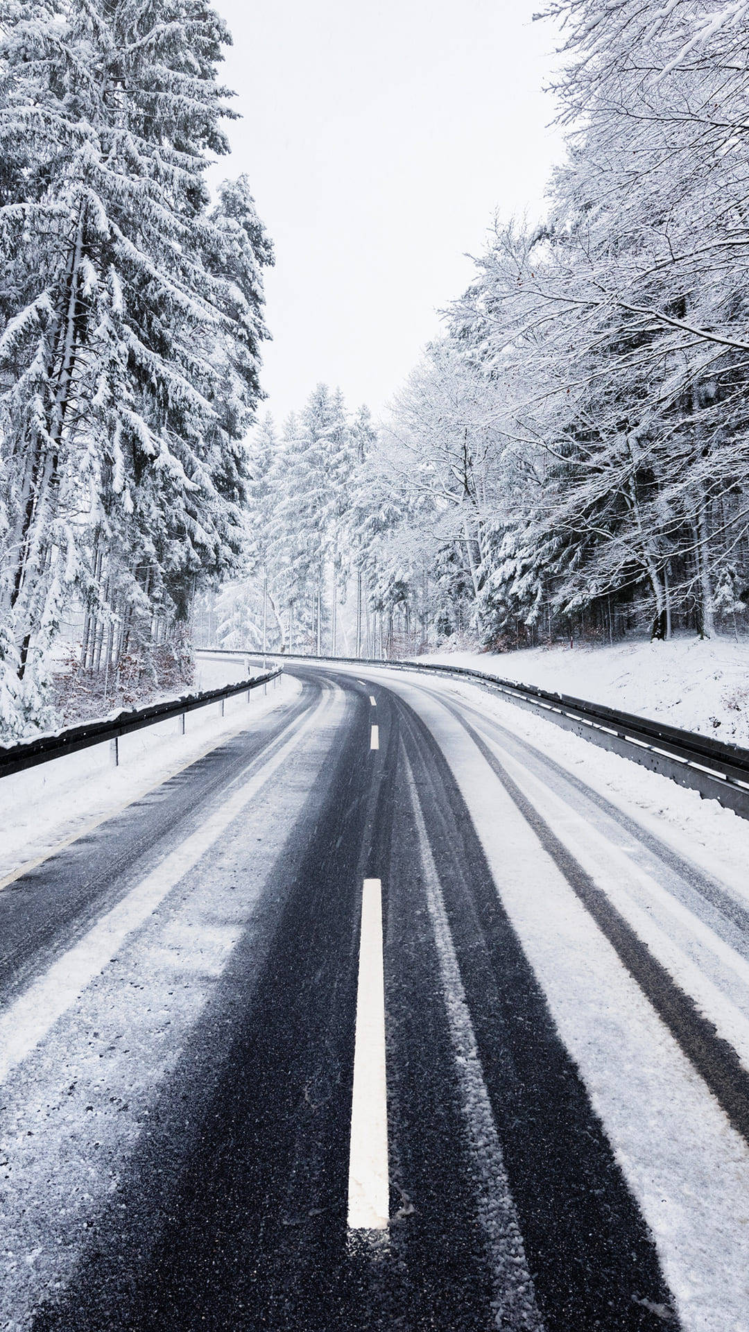 蜿蜒的雪路穿過冬季森林，樹木積雪。