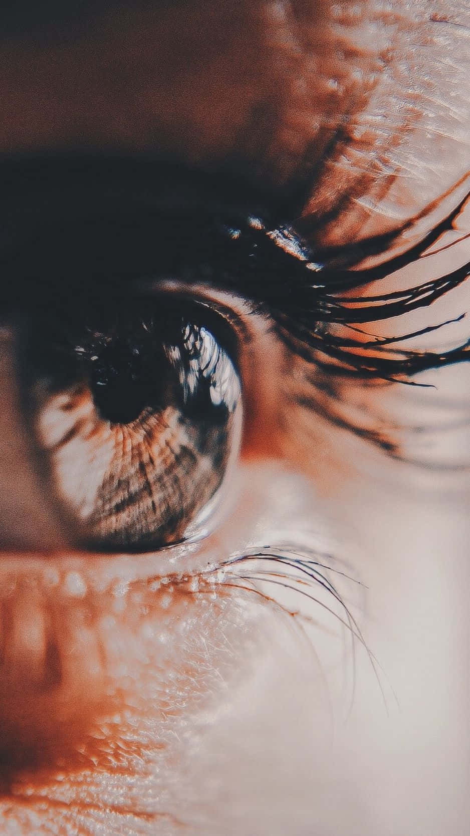 人類眼睛的特寫，帶有細緻的睫毛和溫暖的色調