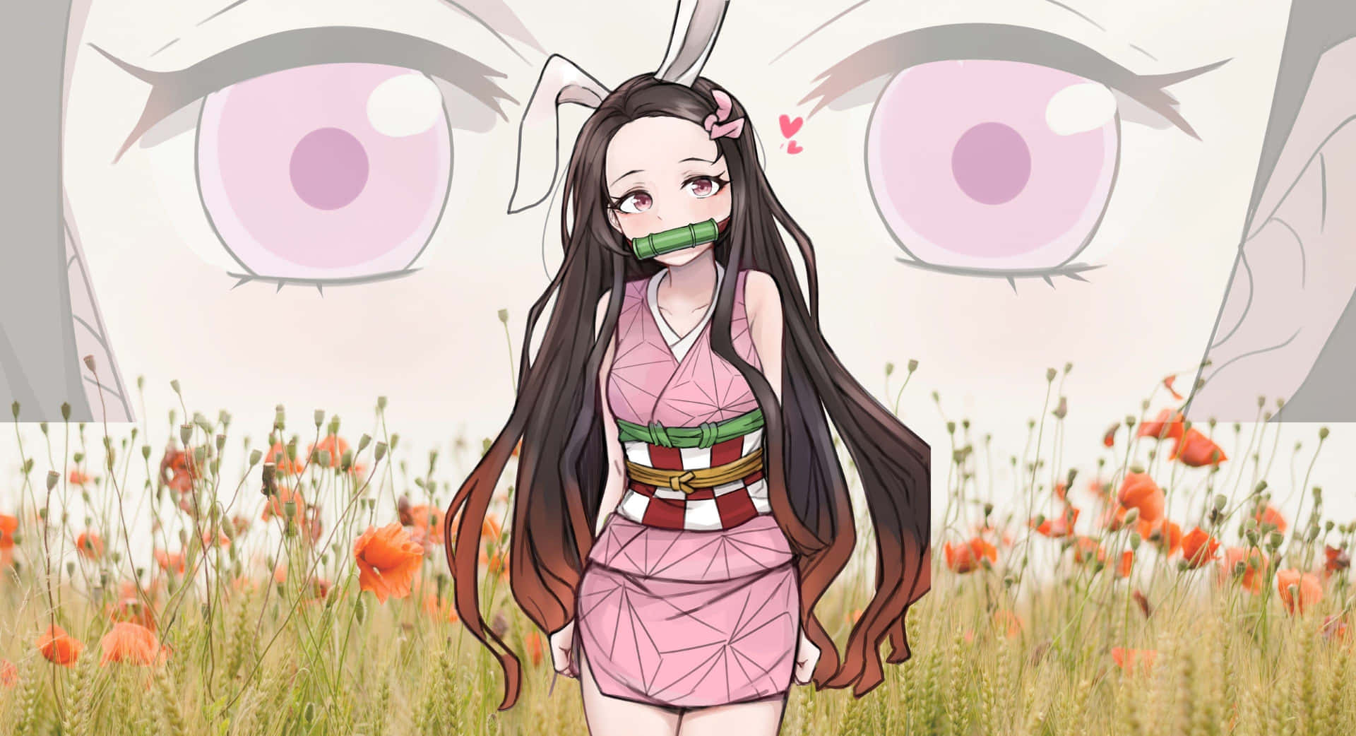 祢豆子照片