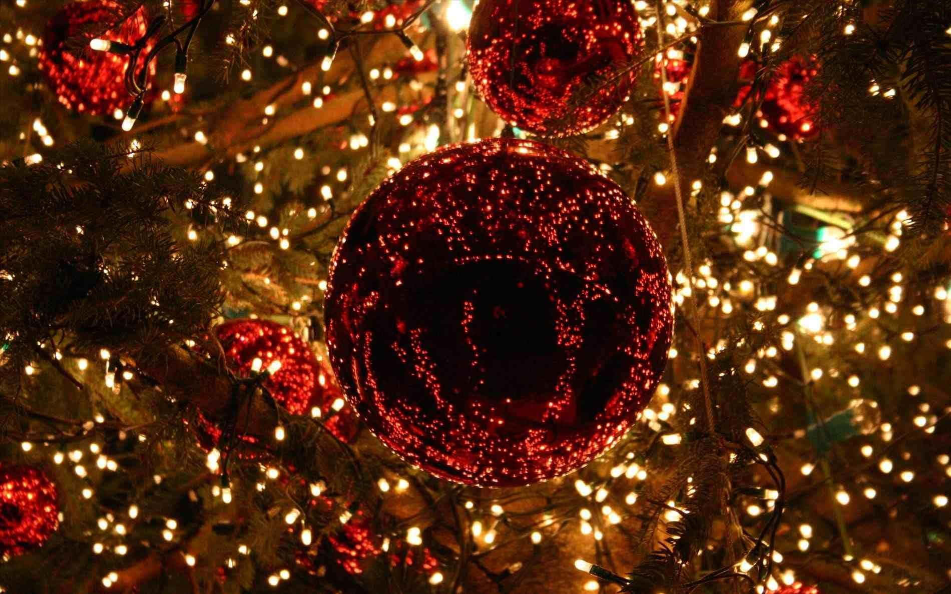 Rustic Christmas 桌布 壁紙 — 閃亮的紅色裝飾和溫暖的仙女燈點綴著聖誕樹枝的特寫。