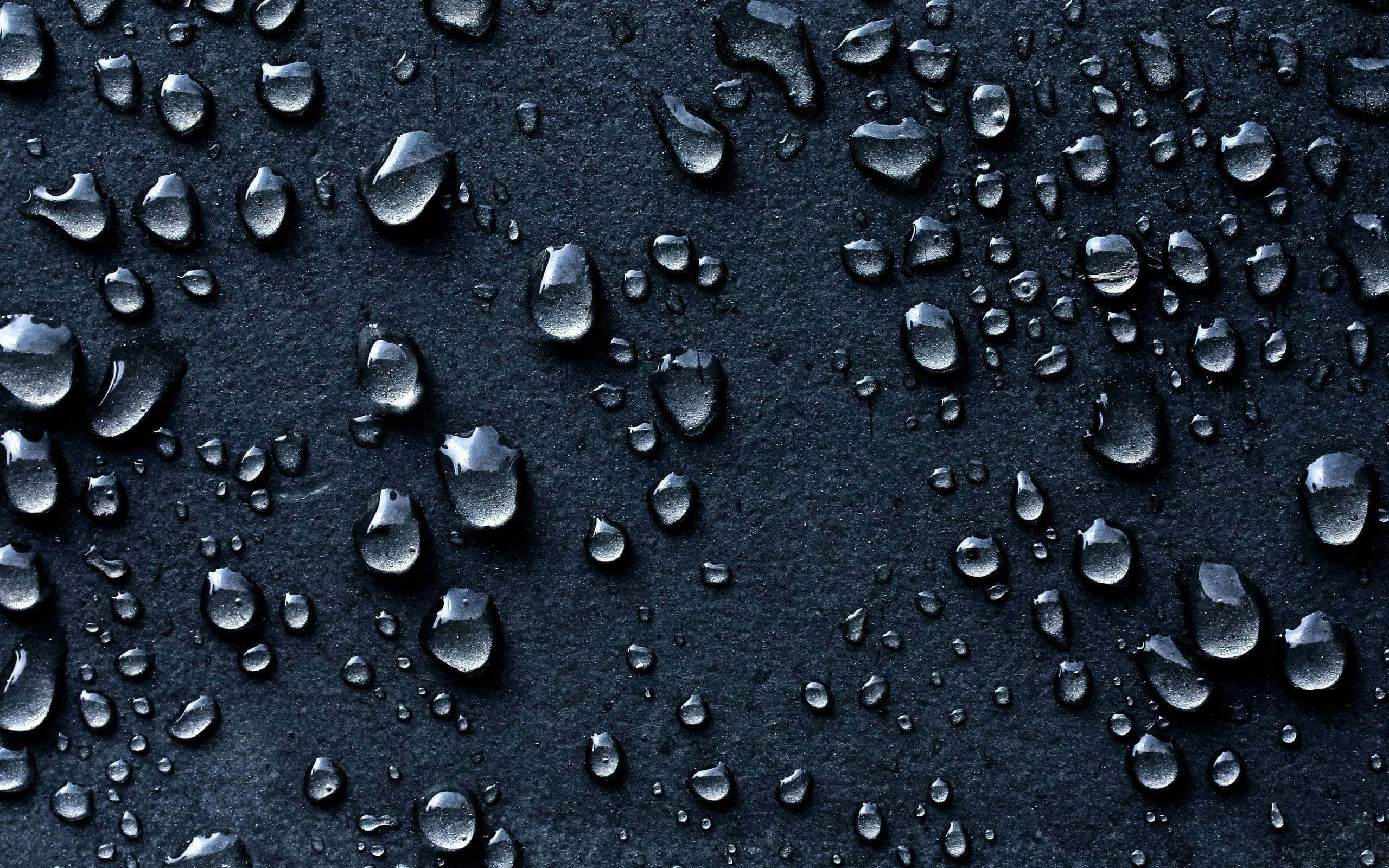 3d Water 桌布 壁紙 — 閃爍的水滴停留在啞光黑色紋理表面上，反射柔和環境光。