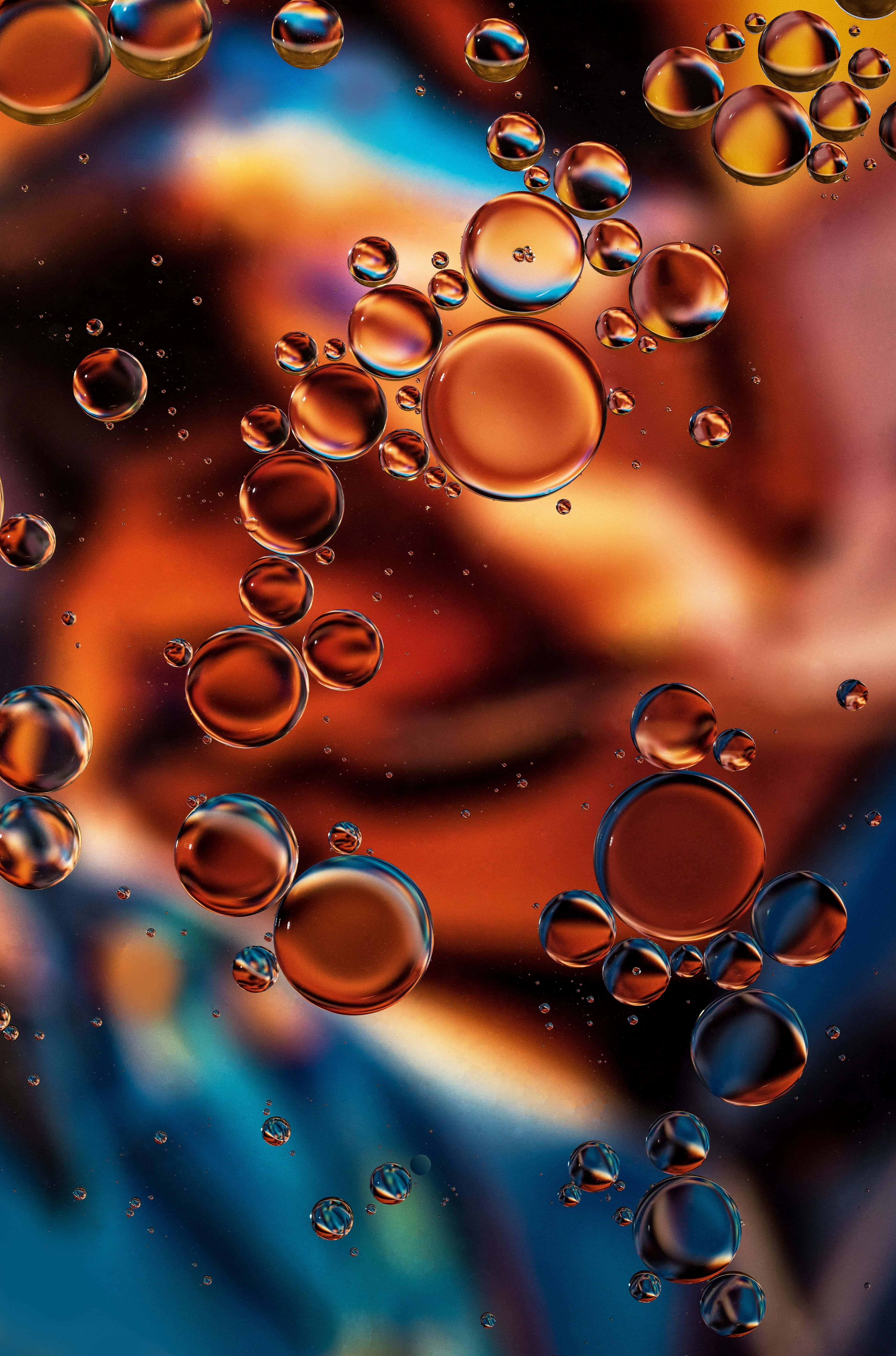Liquid 桌布 壁紙 — 閃爍的琥珀色和藍色氣泡漂浮在模糊的漸變背景上，營造出迷人的抽象微距場景。