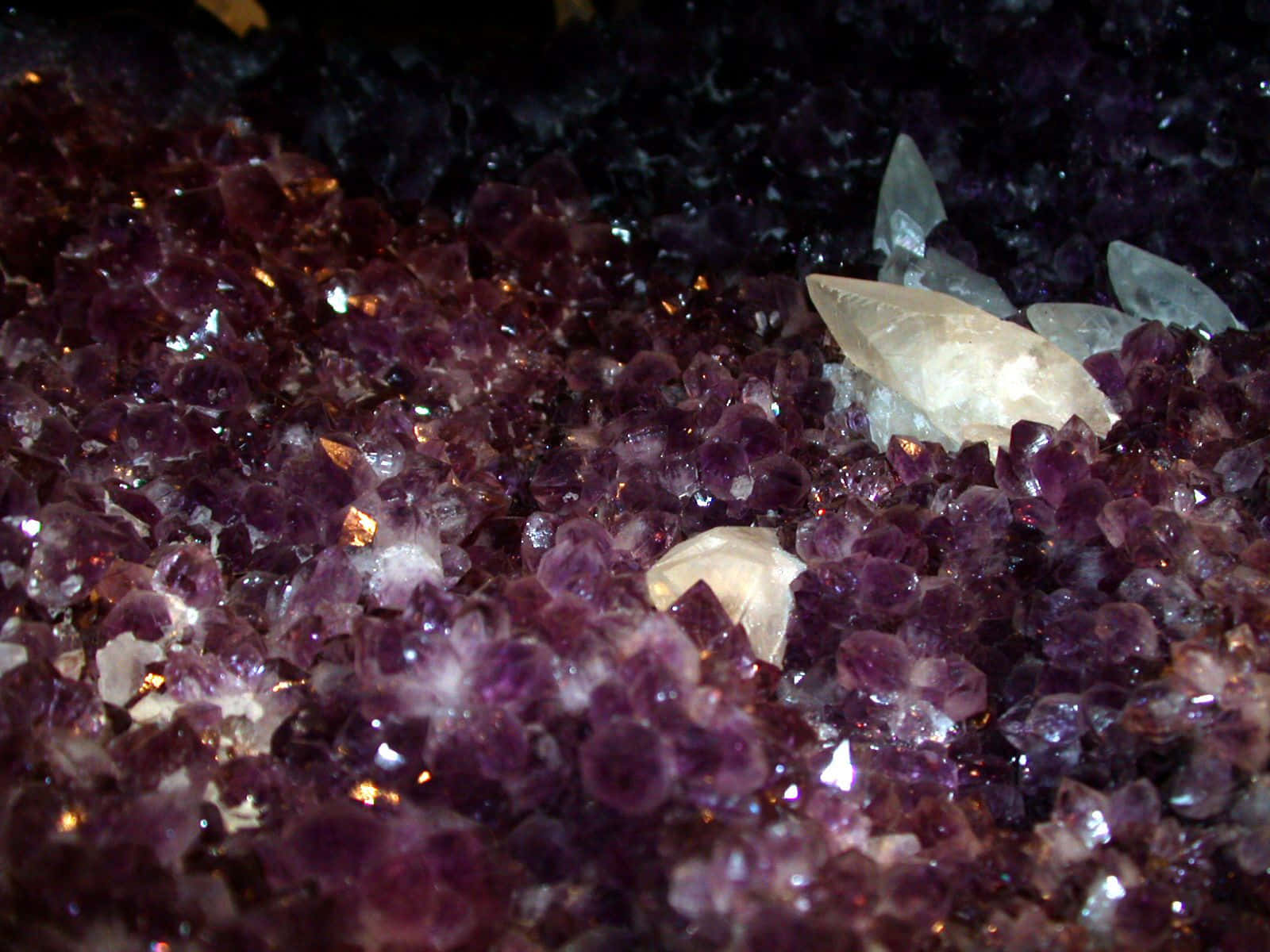Amethyst 桌布 壁紙 — 閃爍紫色紫水晶晶體的近距離特寫，其中夾雜著一些透明石英晶體。