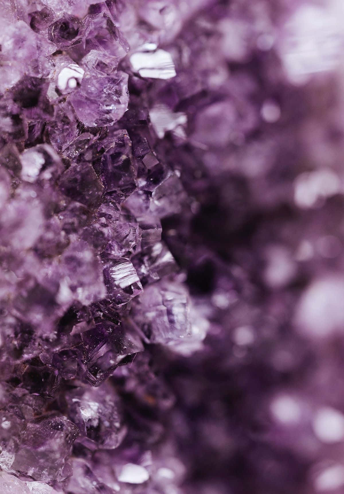 Amethyst 桌布 壁紙 — 閃爍紫色紫水晶晶體的近距離特寫，具有銳利的刻面和柔和的散景背景。