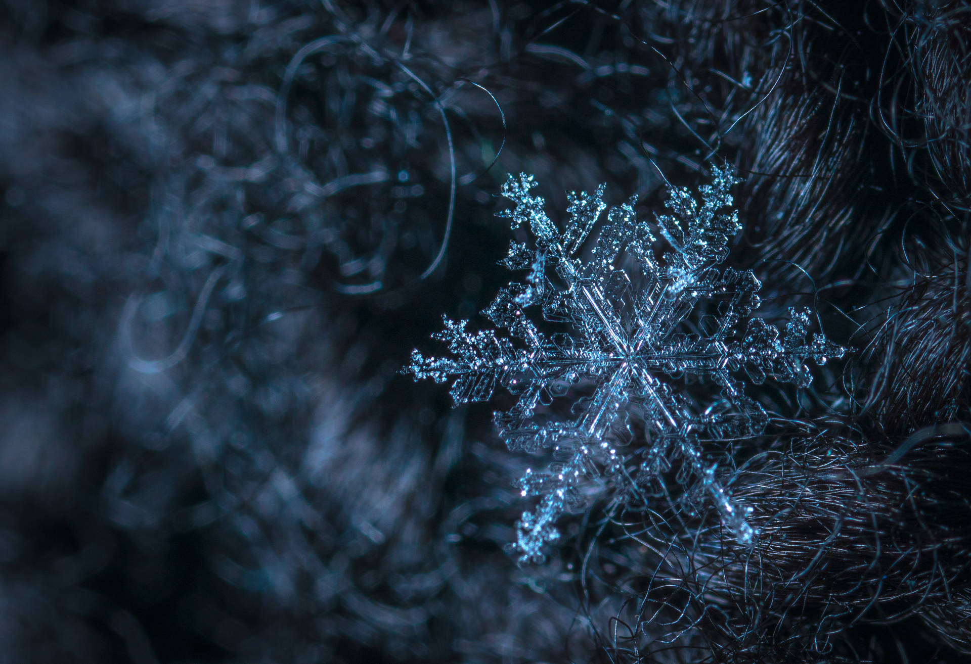 一片細節豐富的雪花停留在深色紋理表面上，散發著冰藍色光芒。