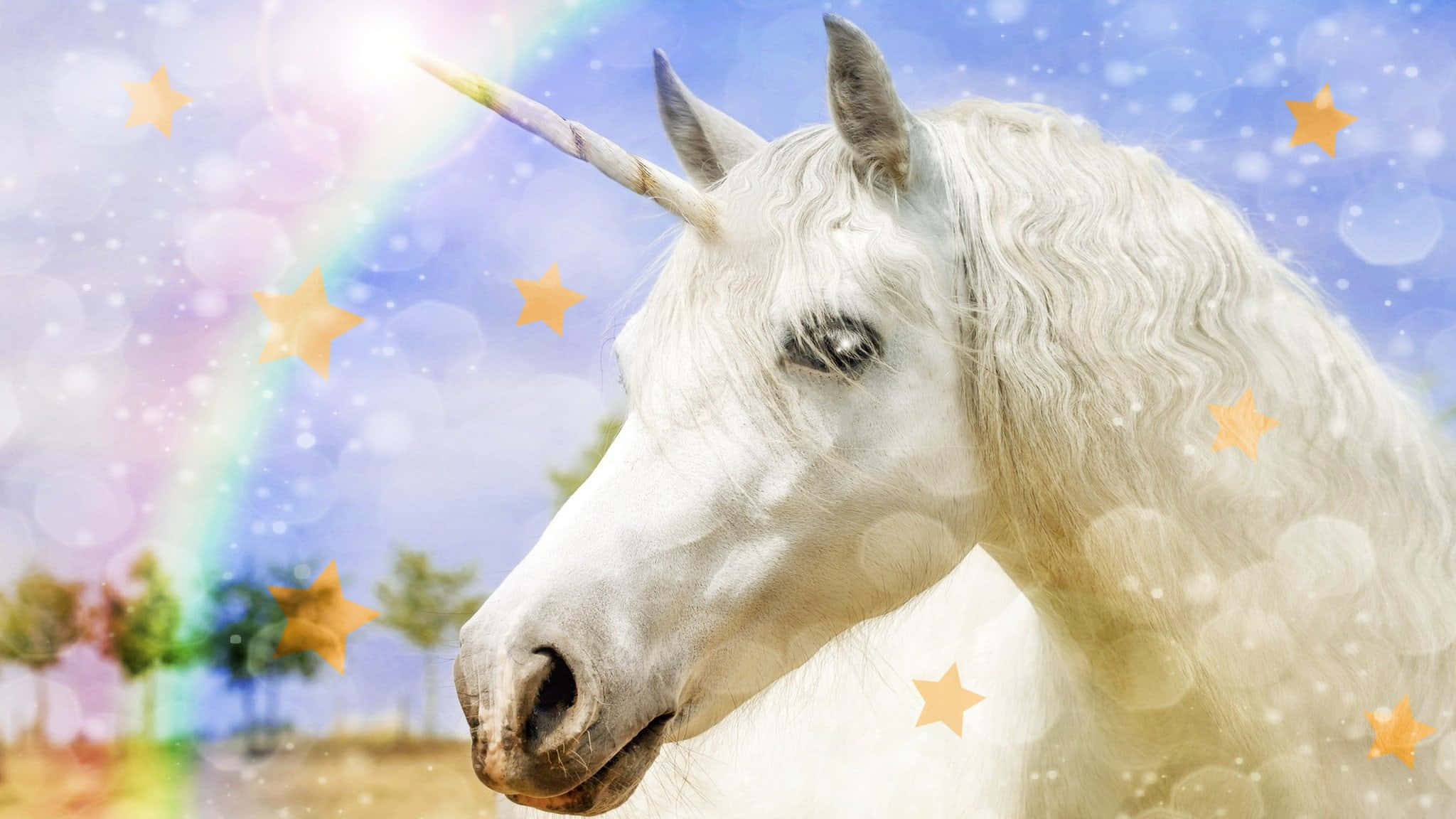 閃耀彩虹小馬圖 壁紙 — 一隻雄偉的白色獨角獸，帶有螺旋角，平靜地凝視著裝飾有彩虹和閃爍星星的夢幻天空。