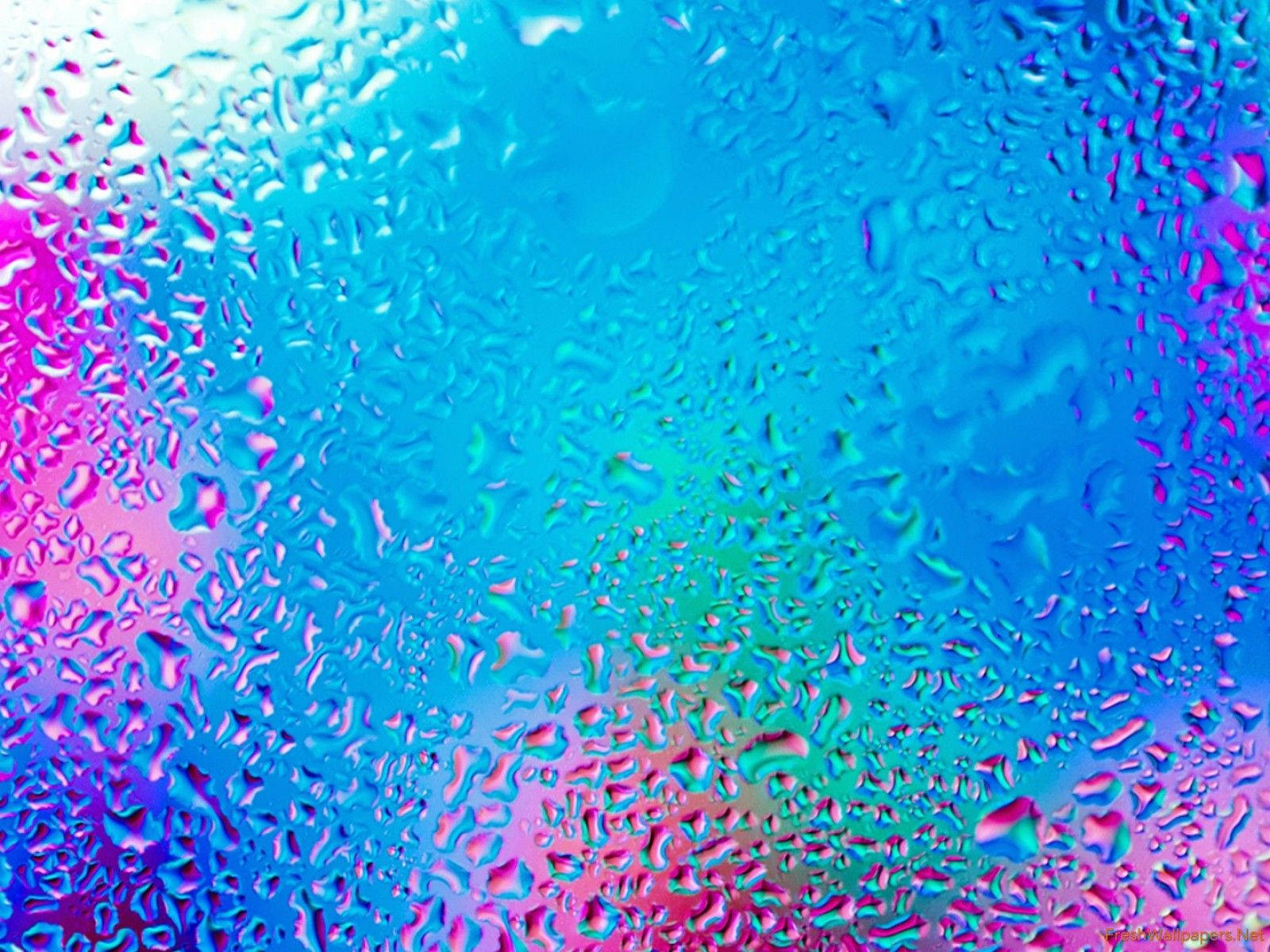 閃耀水珠：光輝之夢 壁紙 — 充滿活力的藍色和粉紅色水滴通過潮濕表面扭曲了色彩繽紛的漸變背景。