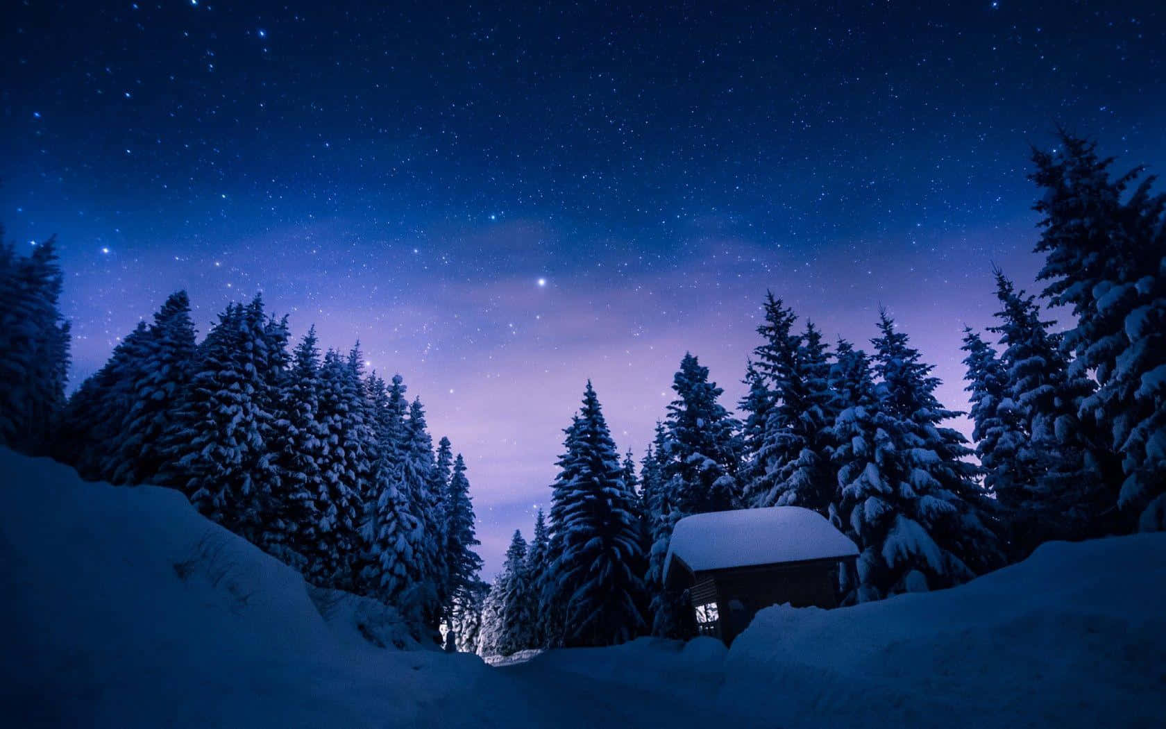 雪覆蓋的小屋在冬季森林中，星空下