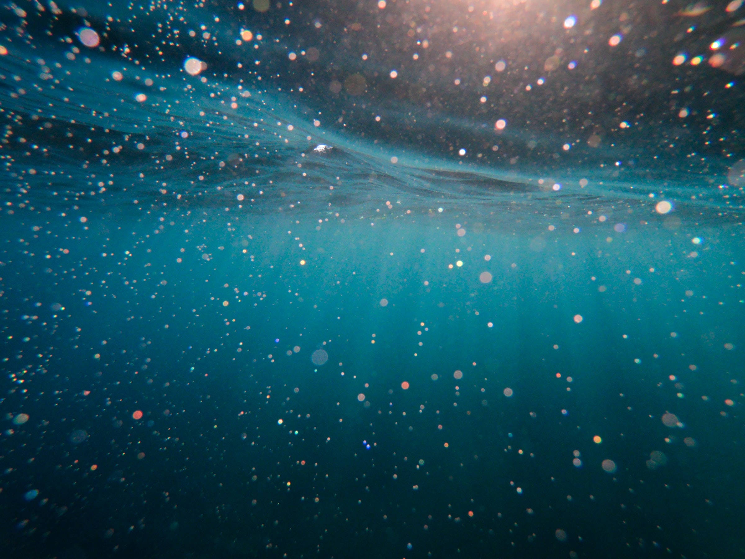閃耀的蔚藍海洋 壁紙 — 陽光穿透碧綠色的海水，在水面形成閃爍的微粒和輕柔的漣漪。