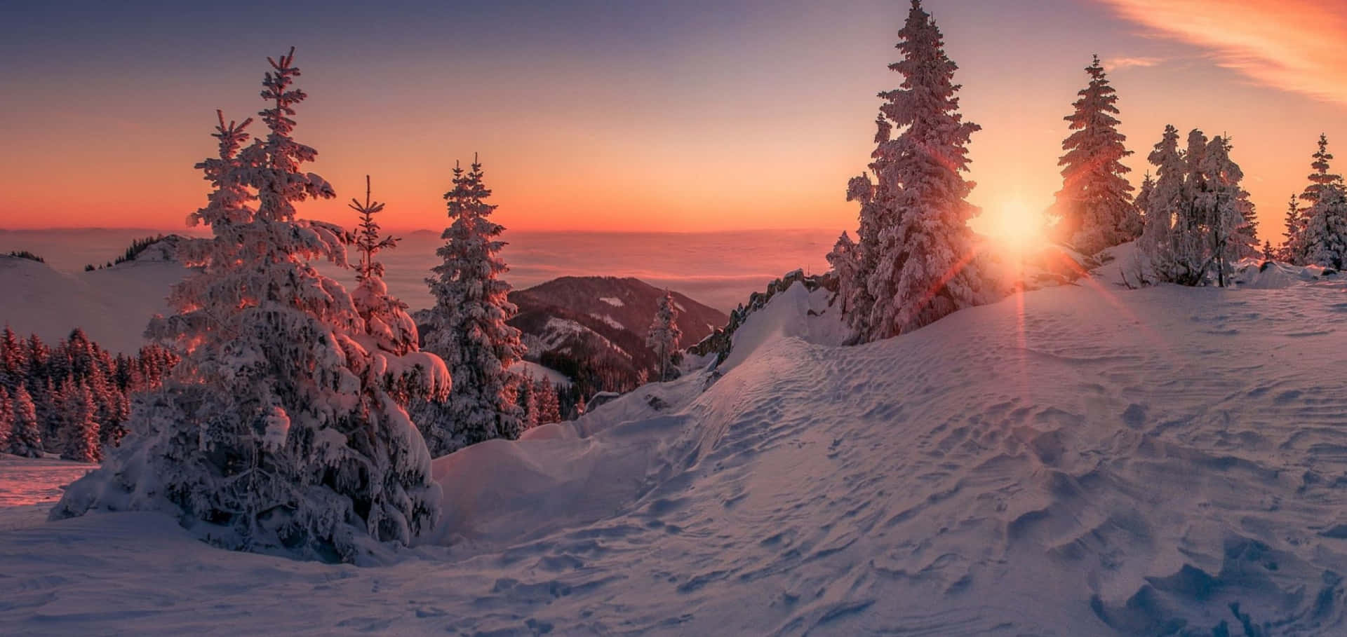 日落時分白雪覆蓋的山景，松樹上結滿了霜。