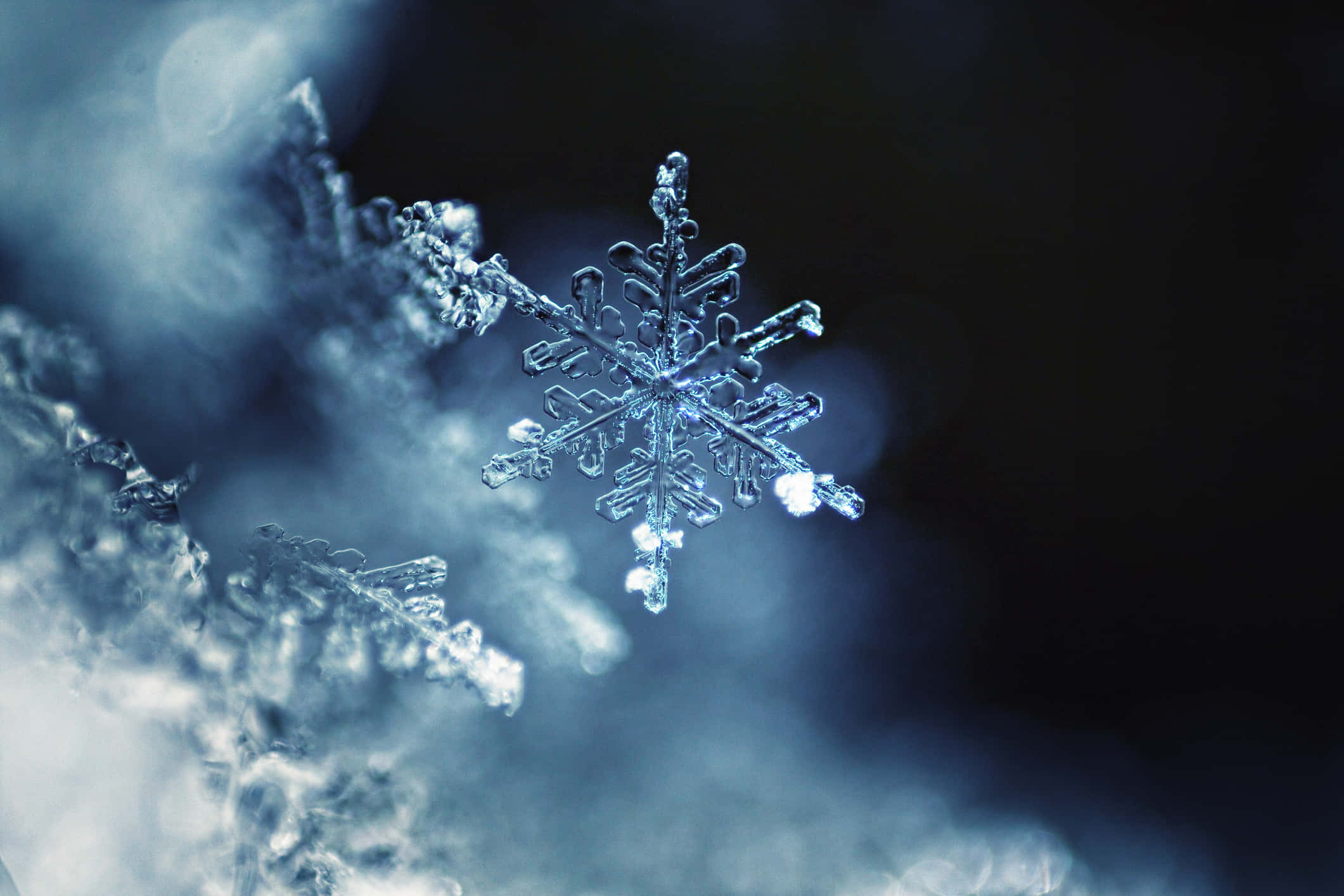 閃耀的雪花 壁紙 — 一片精緻的雪花在黑暗模糊的背景中散發著冰藍色的光芒。