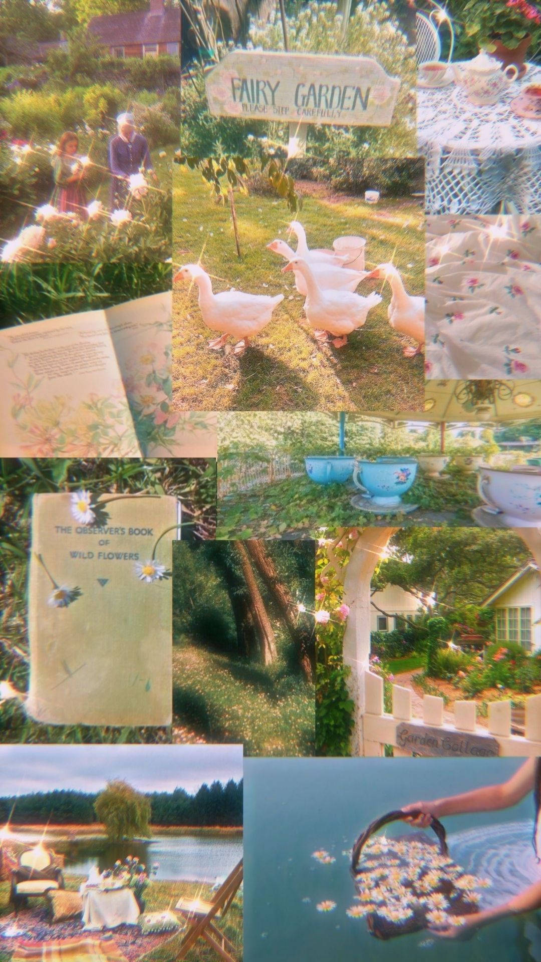異想天開的花園拼貼畫，有天鵝、燈串和復古書籍，在金色陽光下。 — 仙子美學動態圖 壁紙