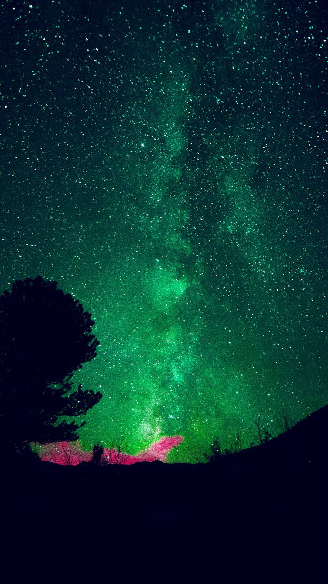 夜晚，黑暗樹木剪影上方的綠色星系和星星。 — 綠色天空 壁紙
