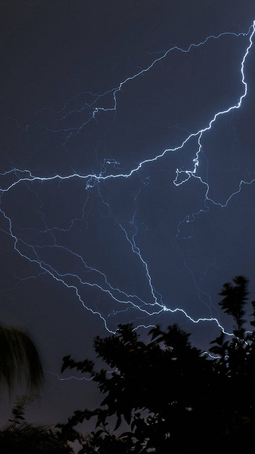 強烈的閃電劃過暴風雨夜空，映襯著黑暗的樹木剪影。
