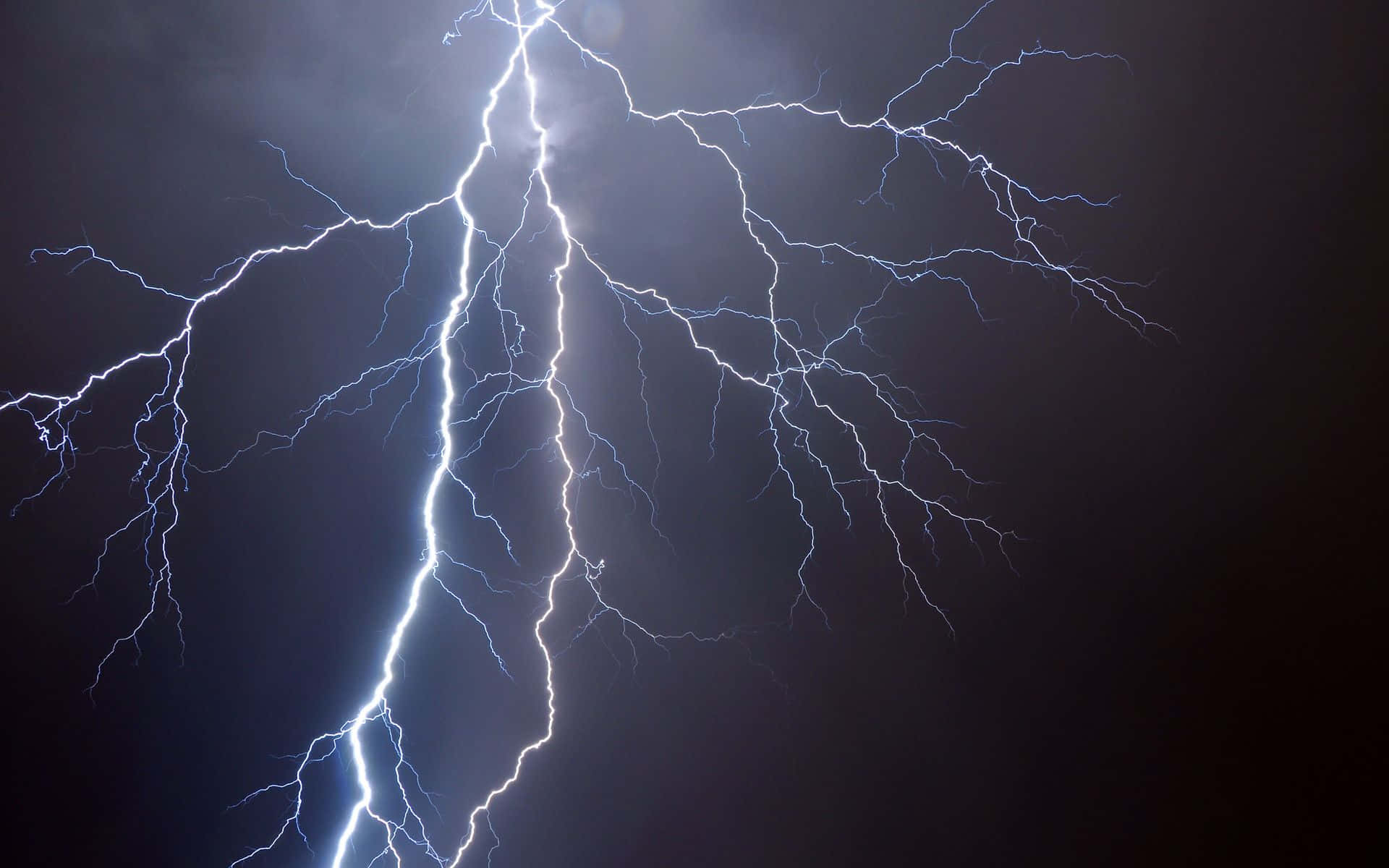 強烈的雷擊以分支的電能撕裂黑暗的夜空。