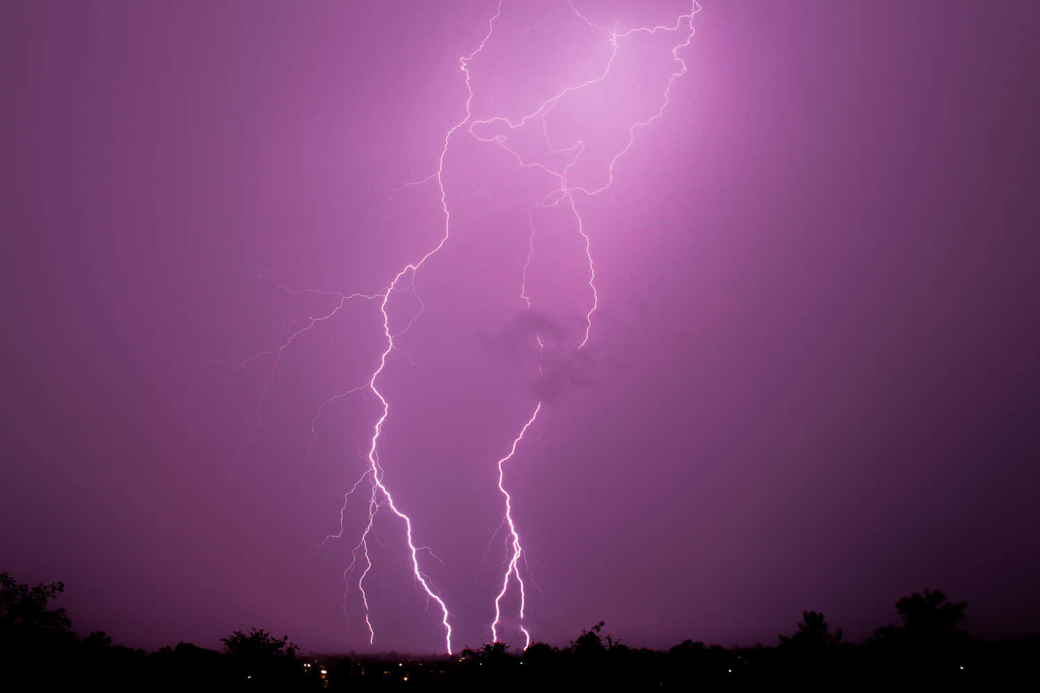 閃電照亮黑暗的夜空 壁紙 — 一道強勁的紫色閃電在暴風雨的夜空中分叉，劃過黑暗的樹線。