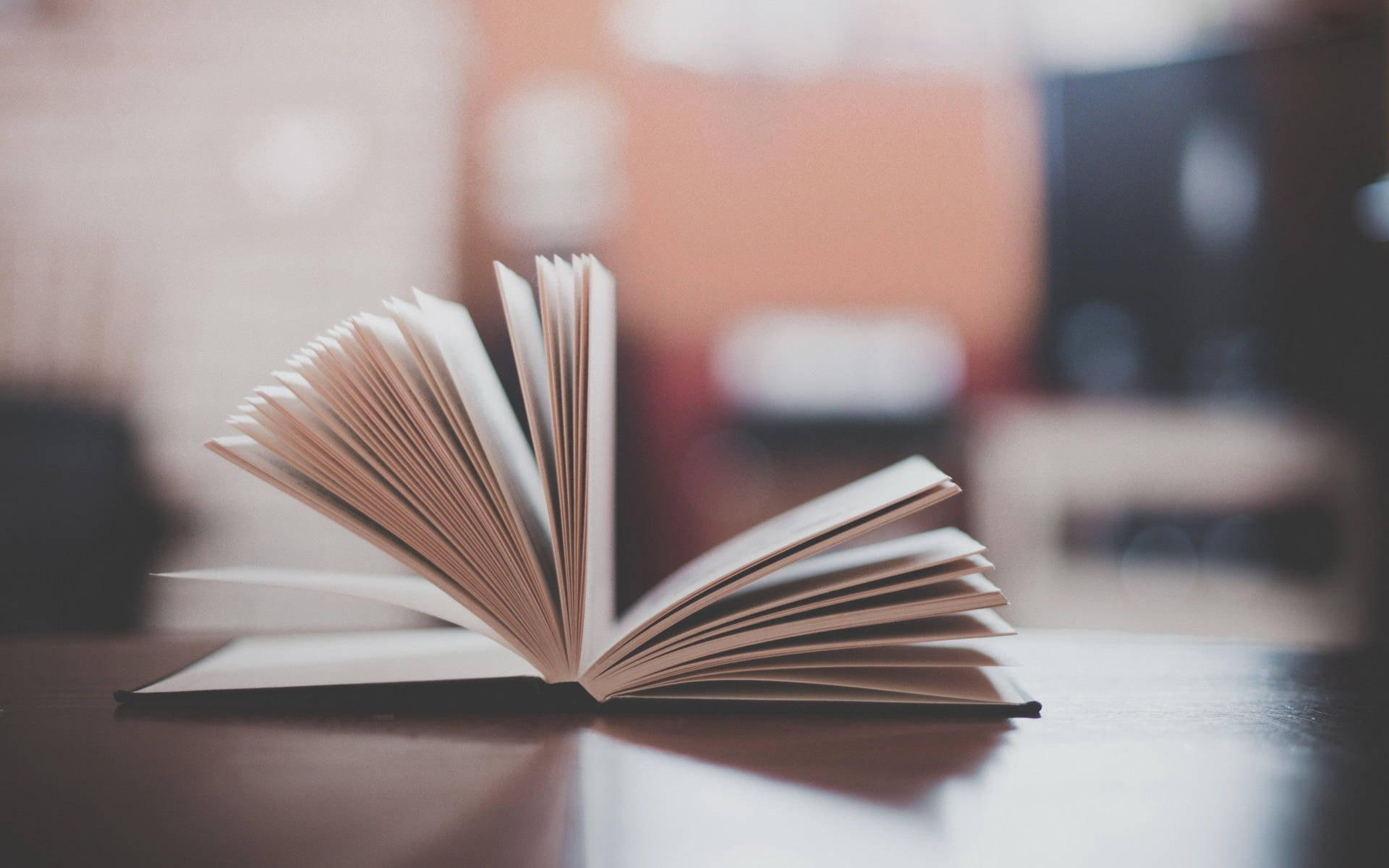 打開的書，書頁呈扇形展開，放在溫暖室內環境的木桌上。