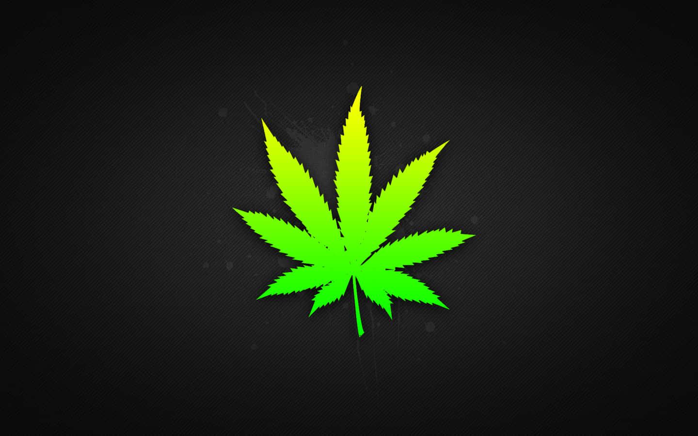 紋理黑色背景上的螢光綠色大麻葉